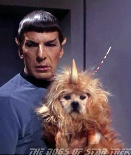 A Terrifying Encounter with an Alien