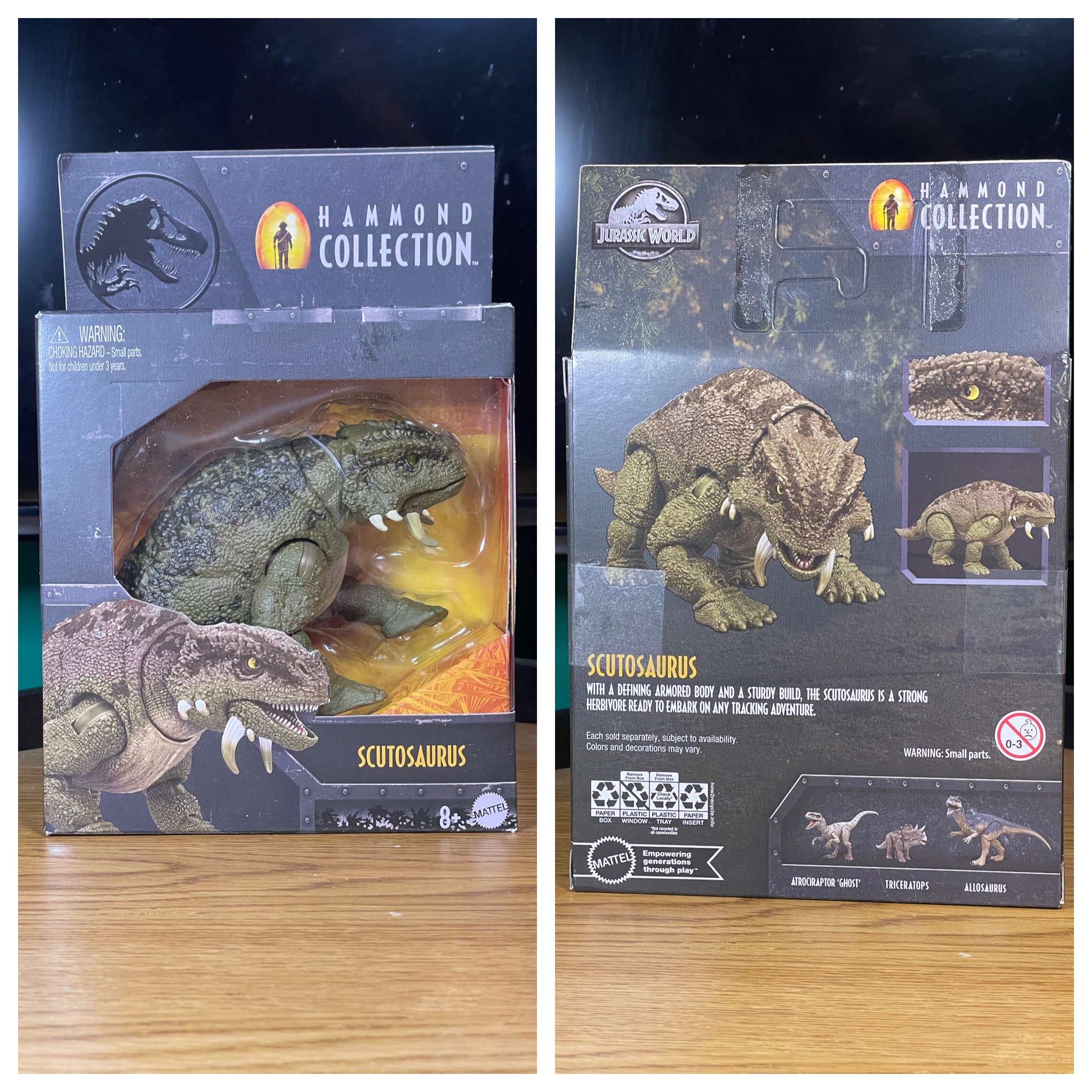 Introducing the Hammond Collection Scutosaurus