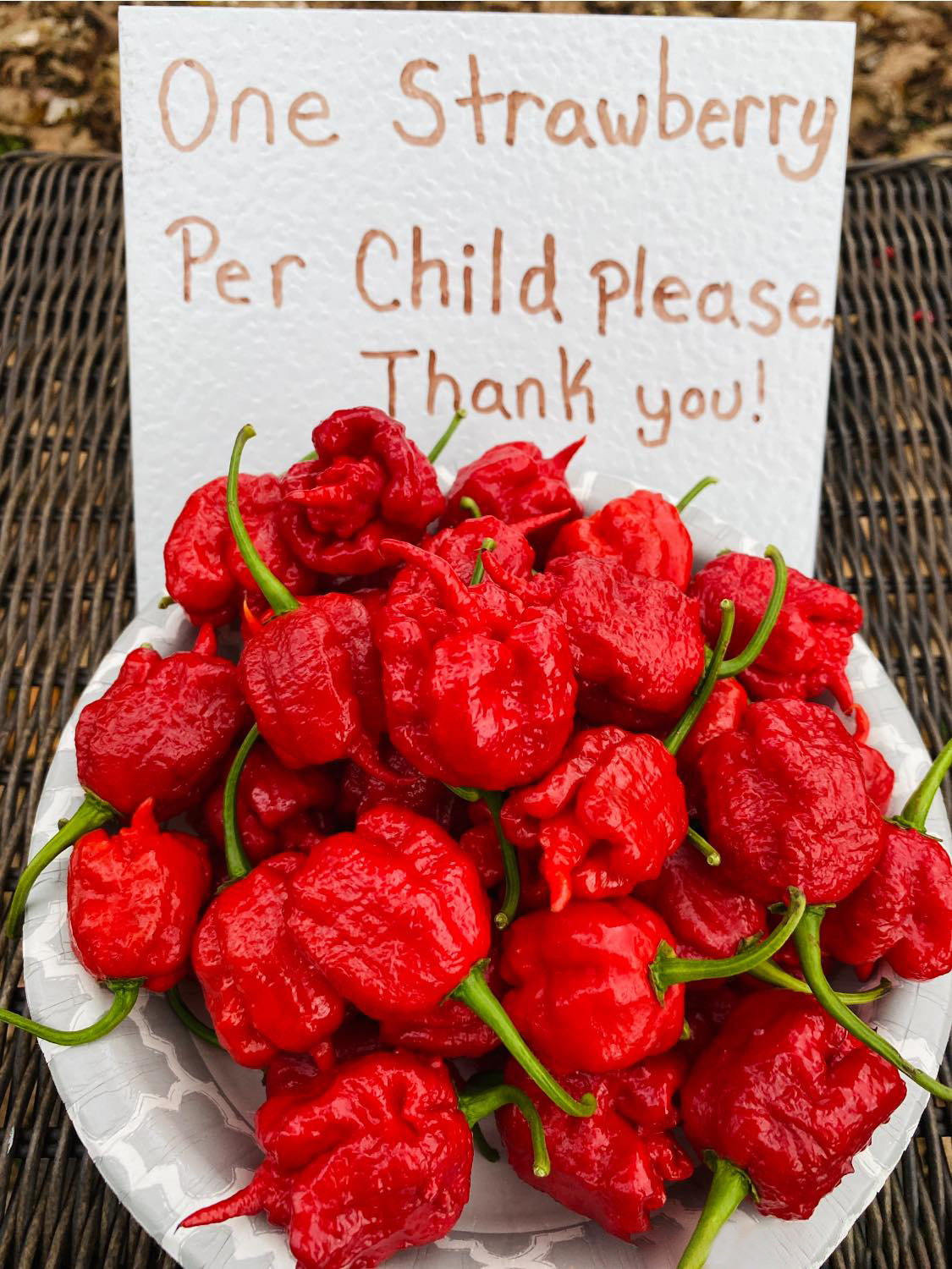 Halloween Treat Alert: Just One Strawberry Per Child, Please!