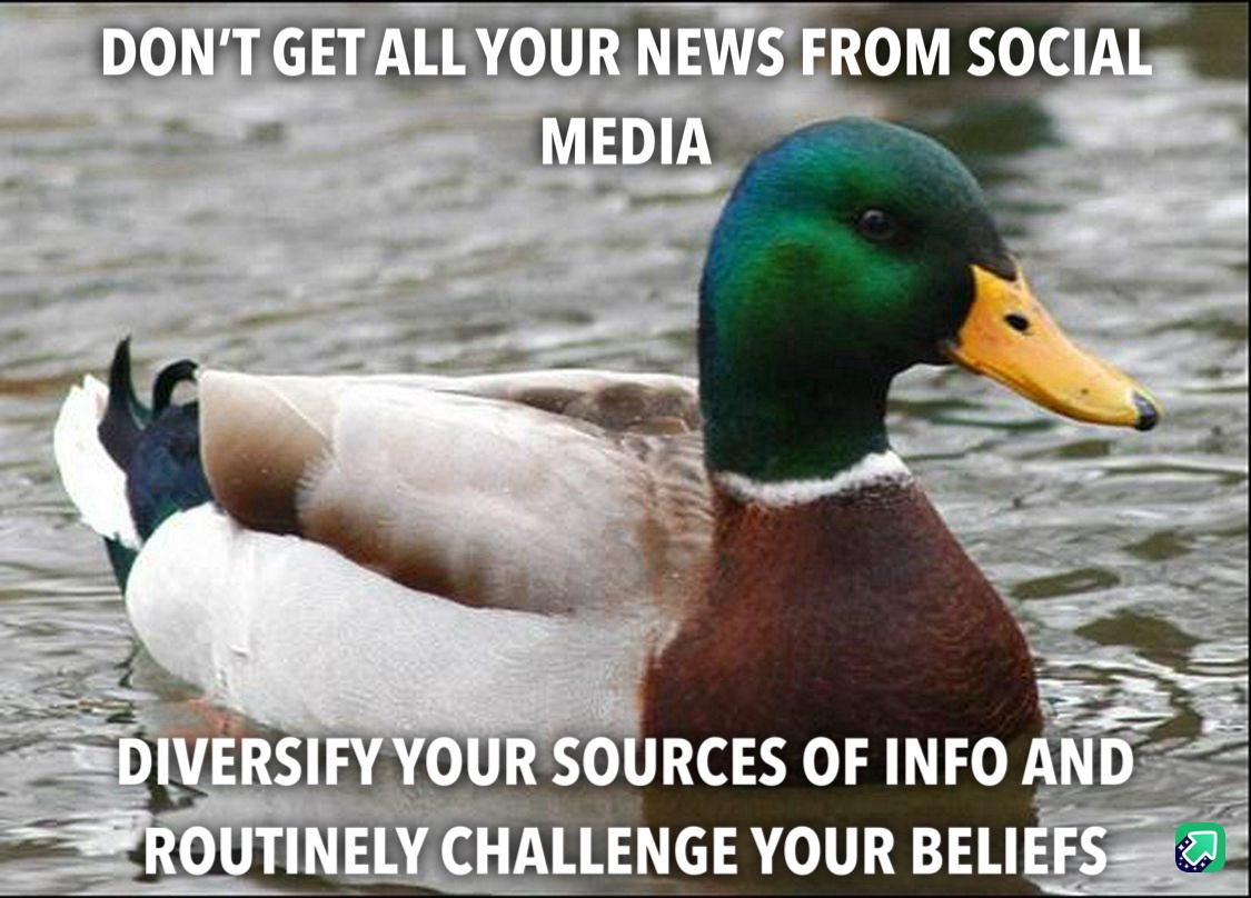 Wise Words from the Mallard: Actual Advice You Can Trust