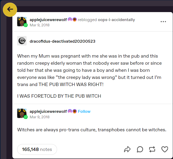 Meet the Enigmatic Pub Witch