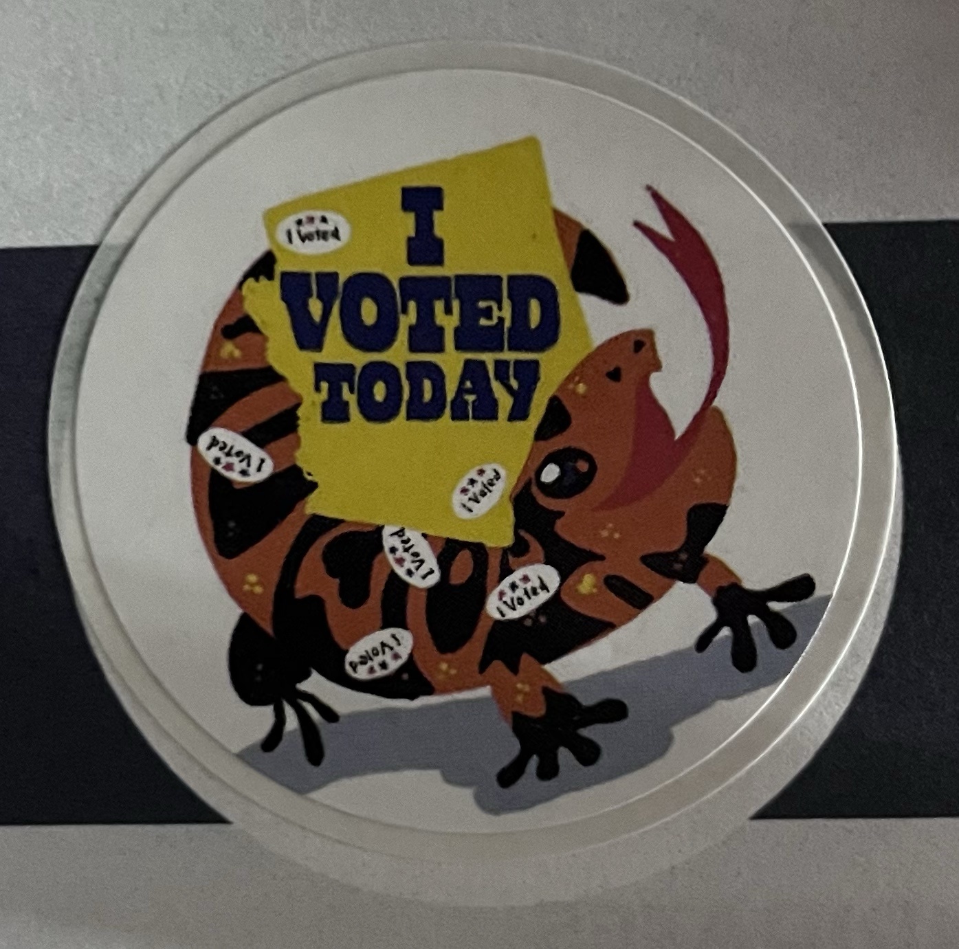 I Made My Voice Count: I Voted!