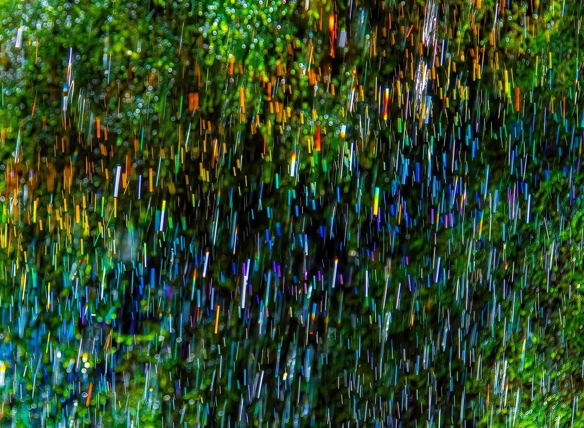 A burst of colors in the sky