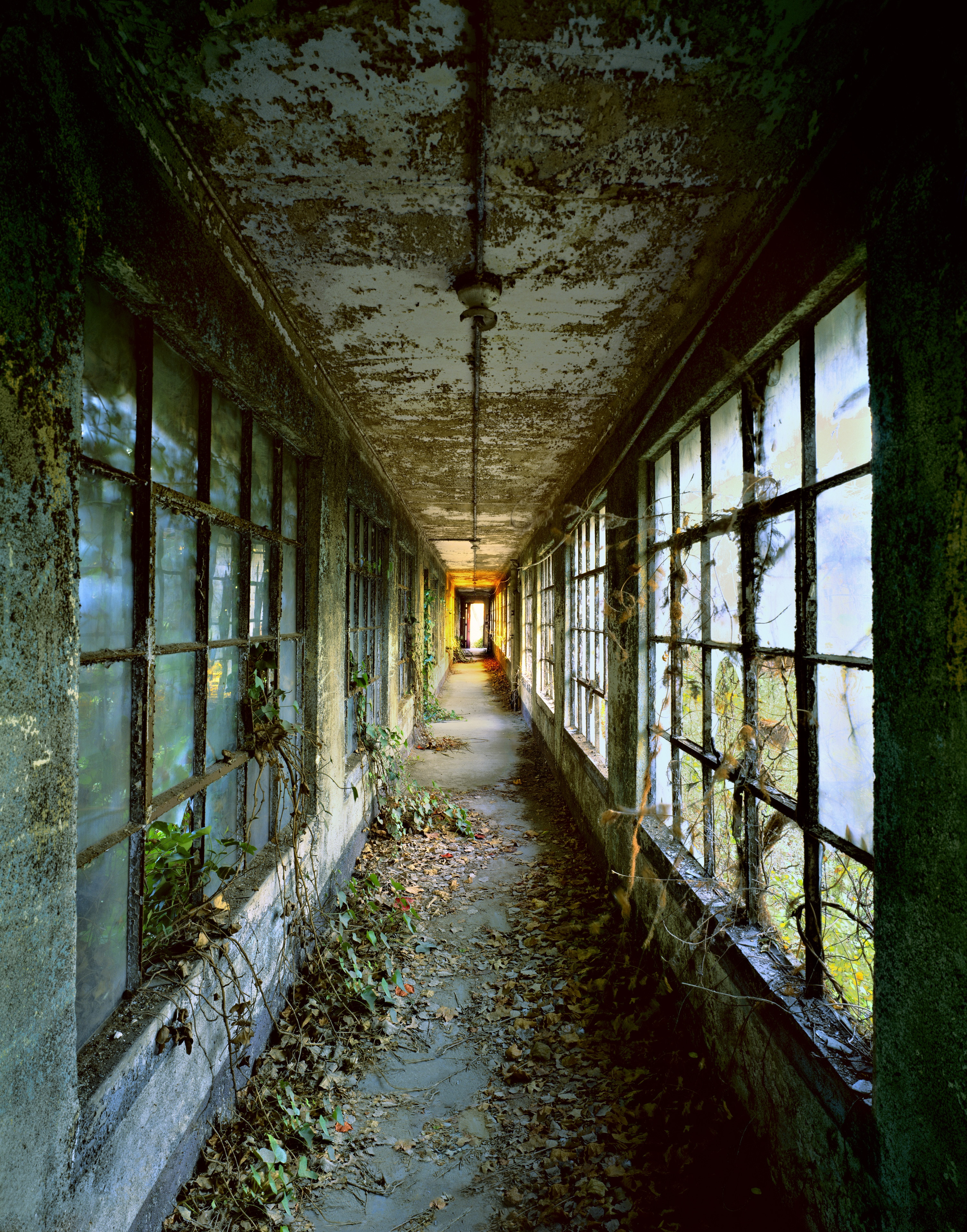 A Glimpse into Ellis Island's History