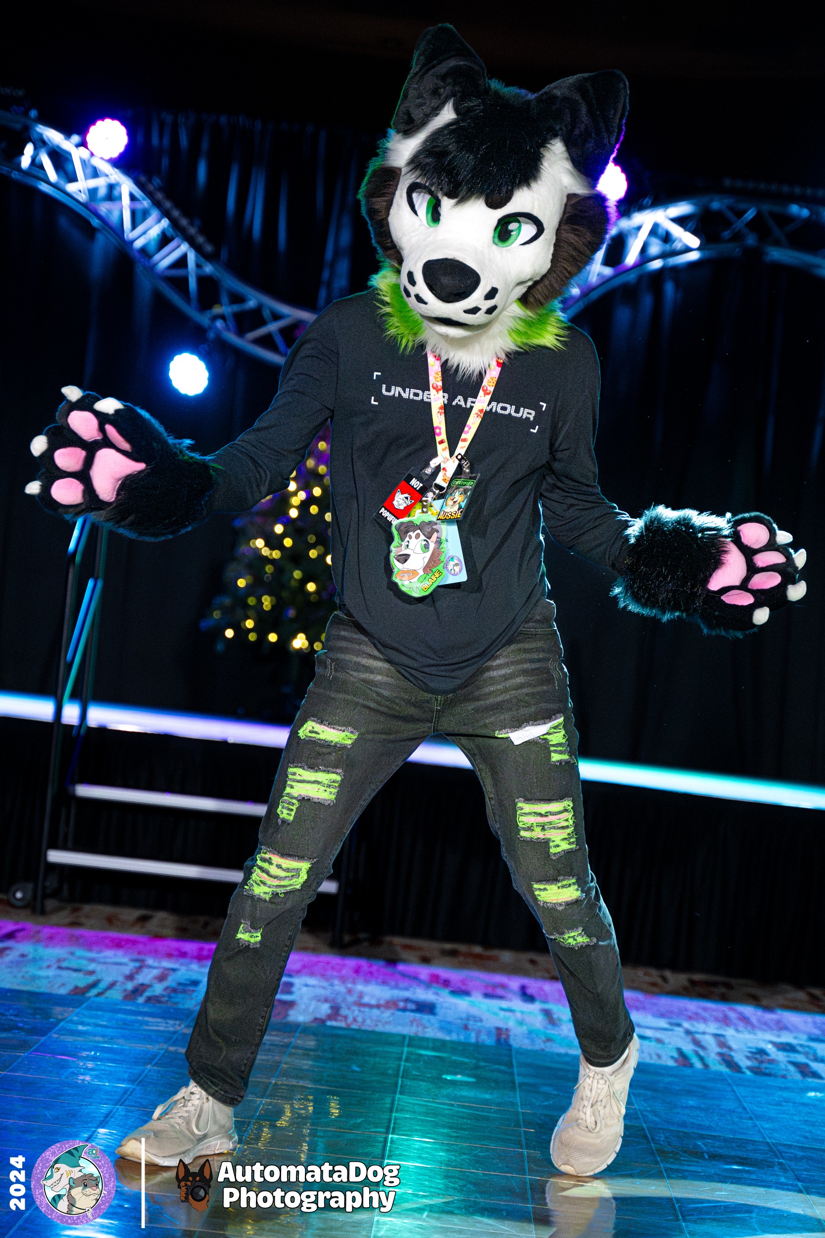Daily snapshot from a furry photographer - Day 431!