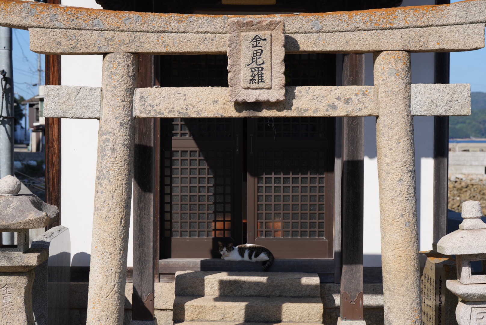 Exploring Manabe Island: The Feline Paradise - Part 4
