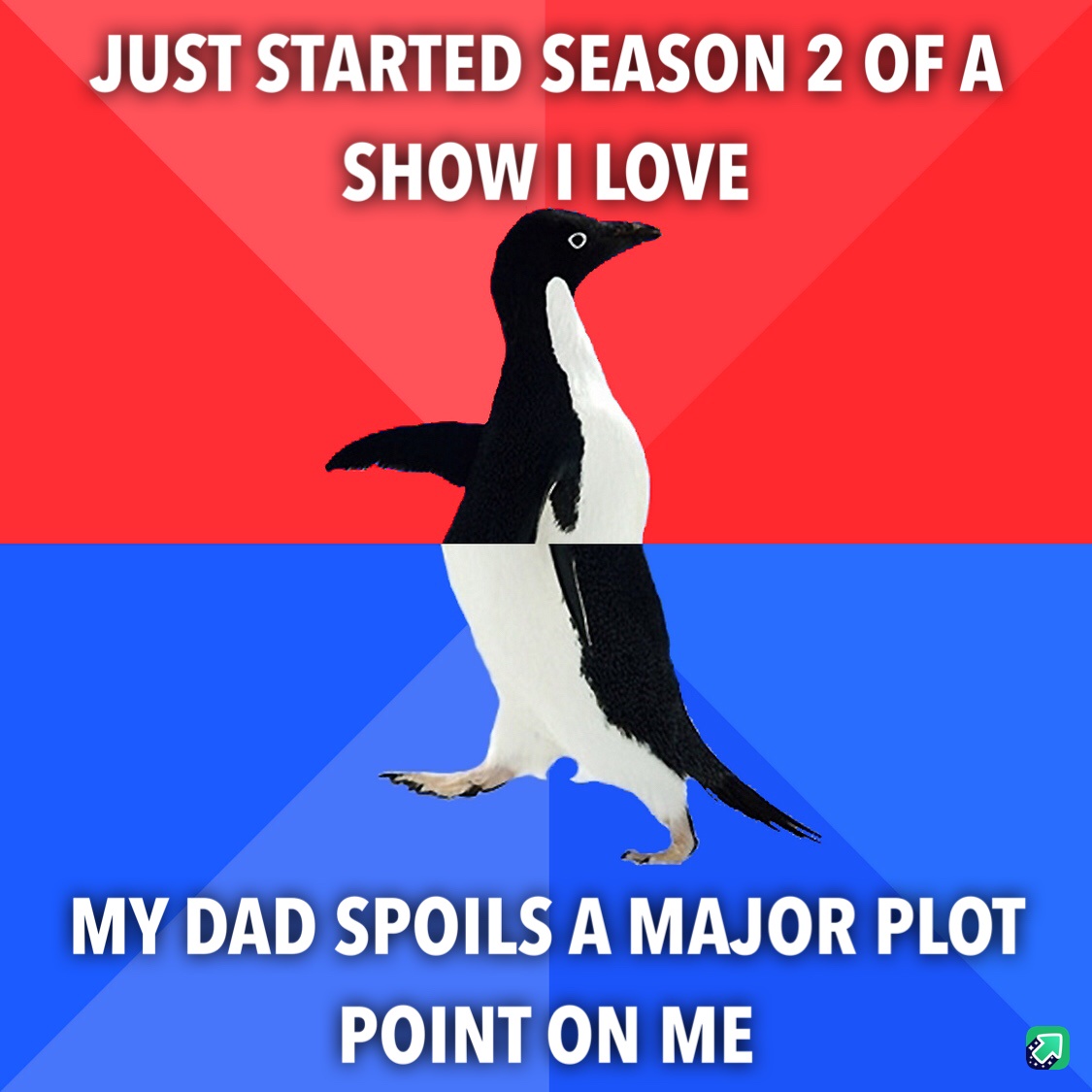 Wasn't It Just So Entertaining?