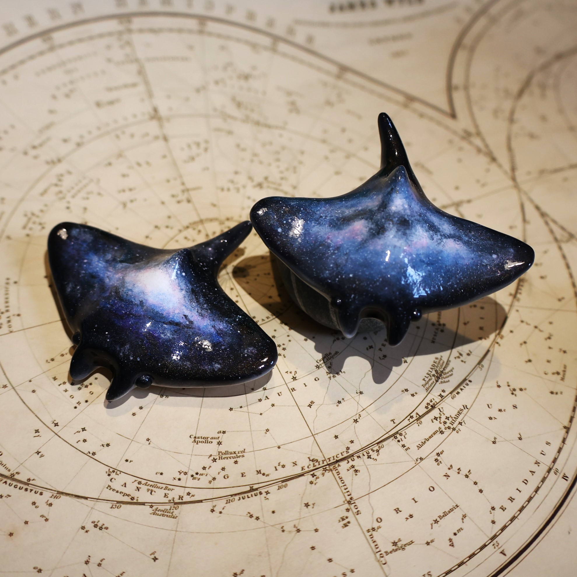 Check out these stunning Galaxy Manta Rays I created!