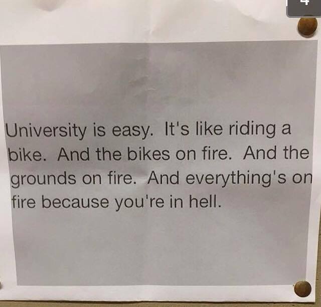 Is university really as easy as pie?