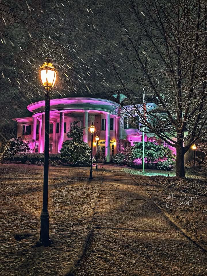 Winter Wonderland: It's Snowing!