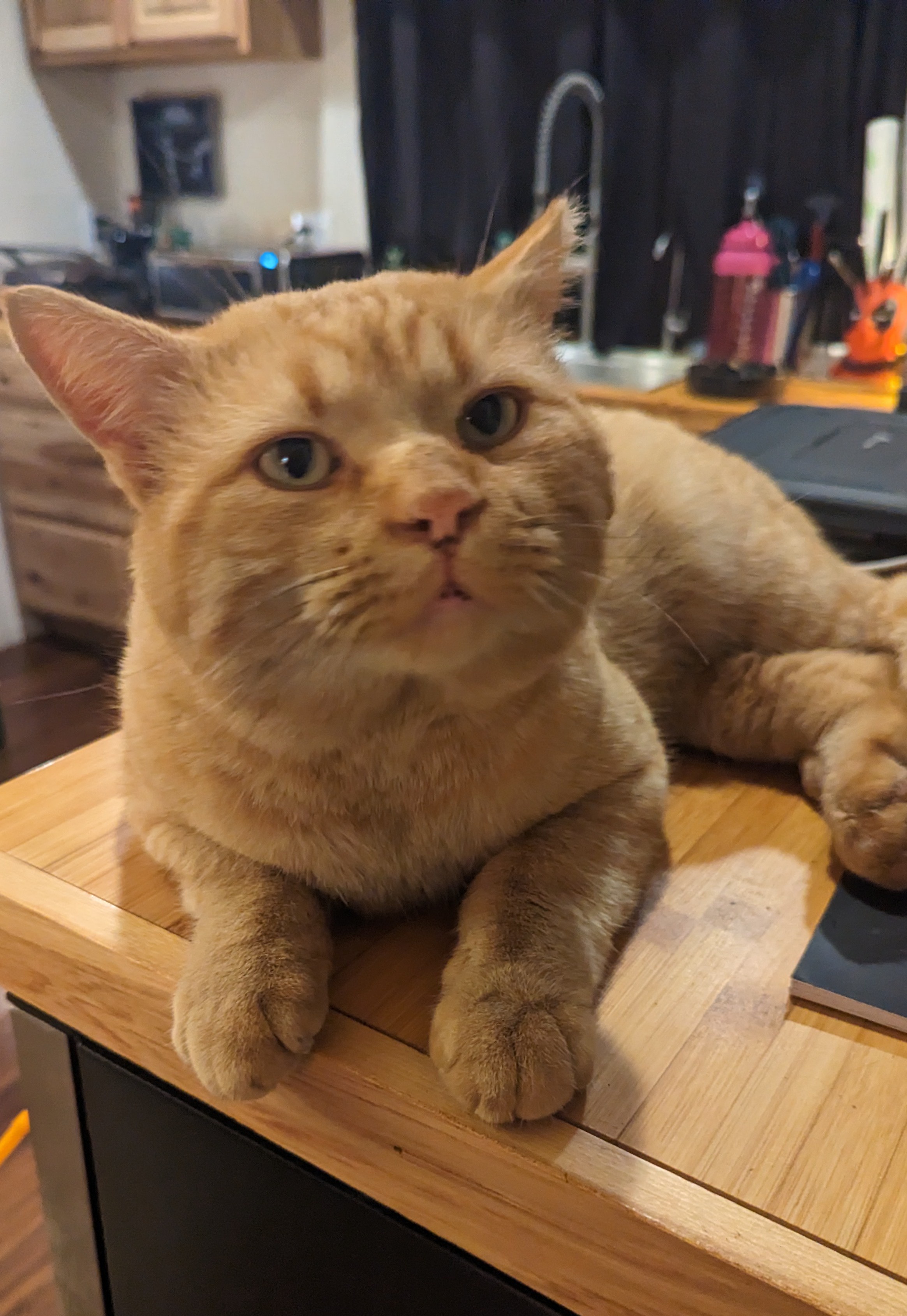 Check Out This Face: Pure Expression