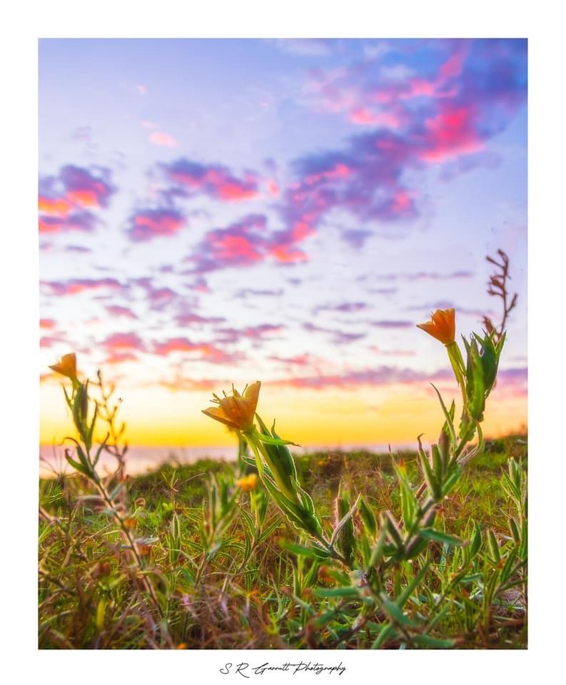 The stunning colors of a new day: Sunrise