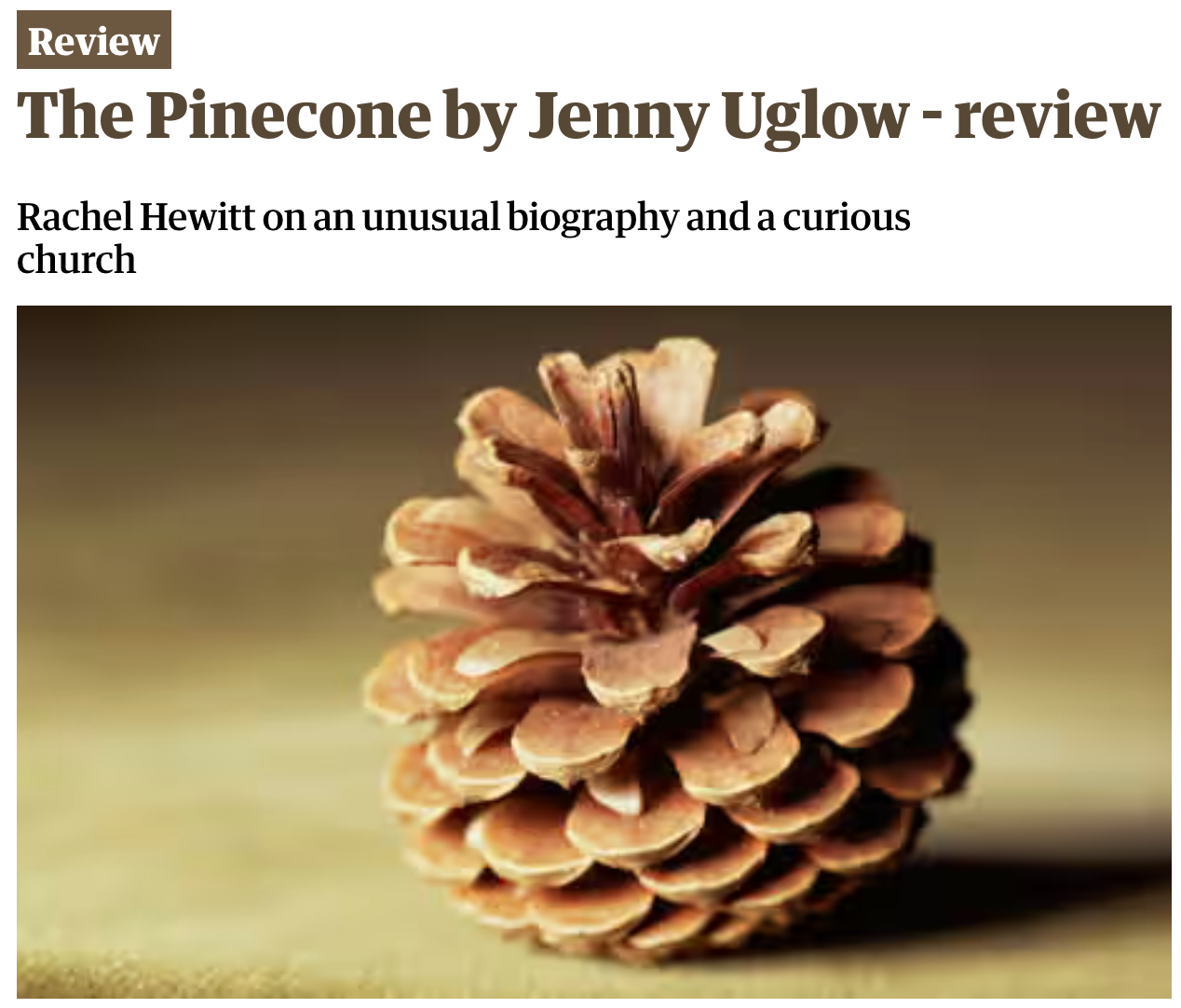 More Pinecone power!