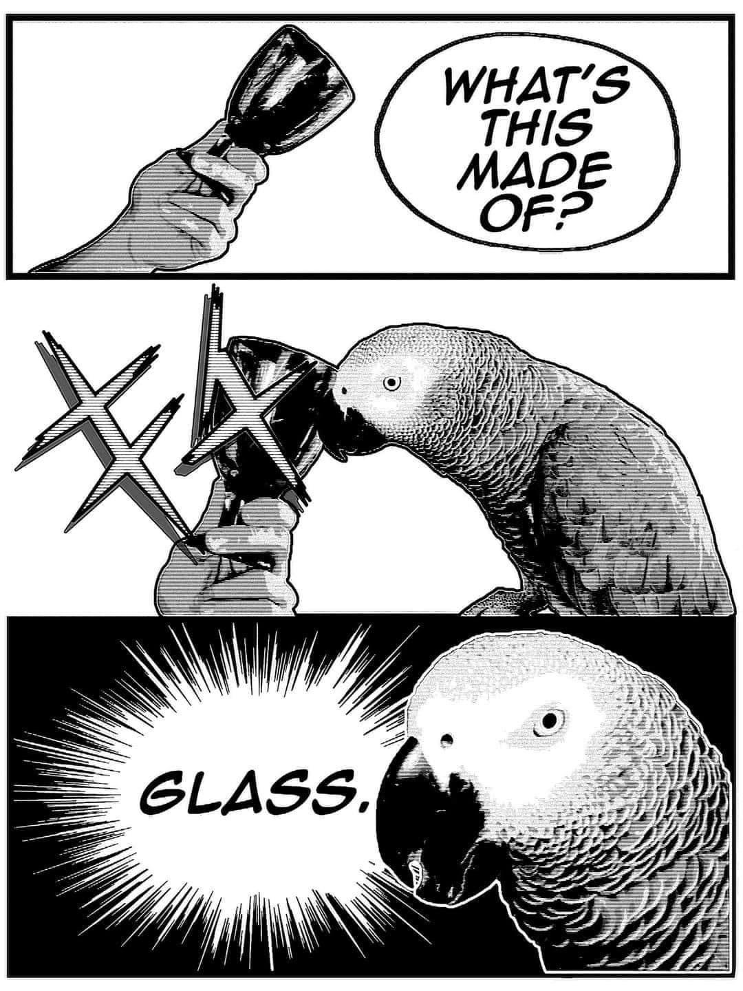 The Adorable Birb in Action