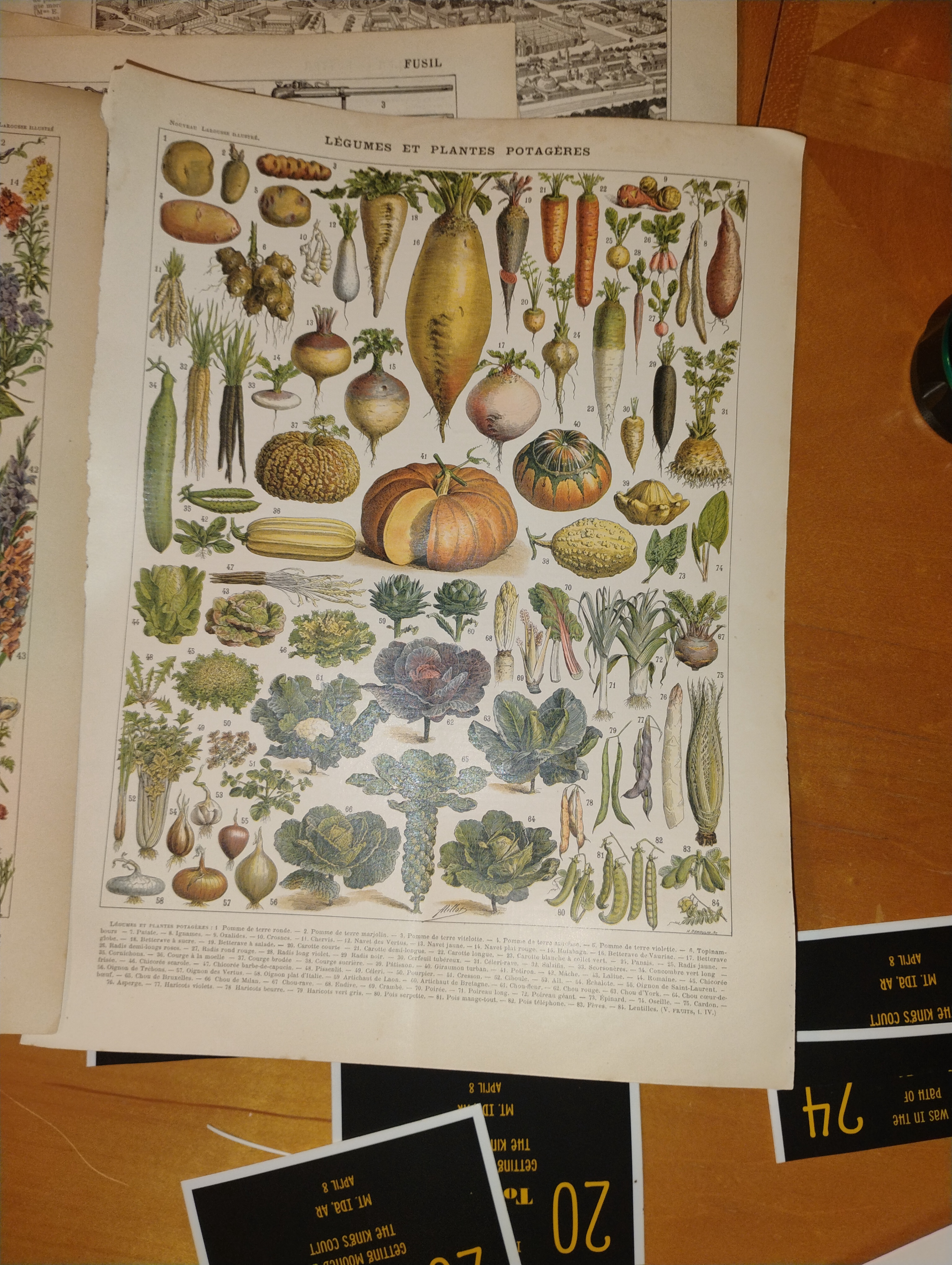 A Glimpse into the Past: Illustrations from an Old Book