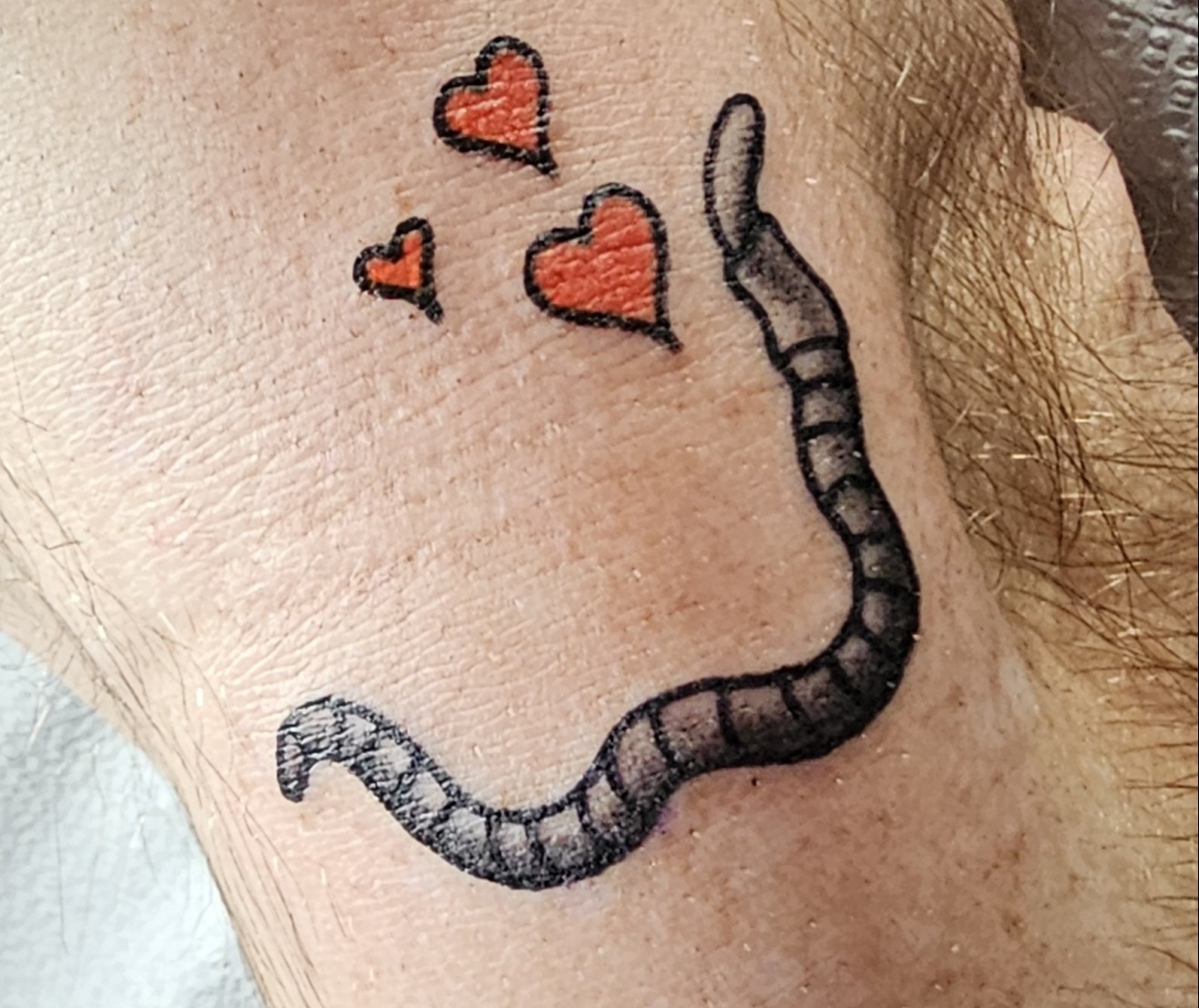 A Sweet Heartworm for Valentine's Day