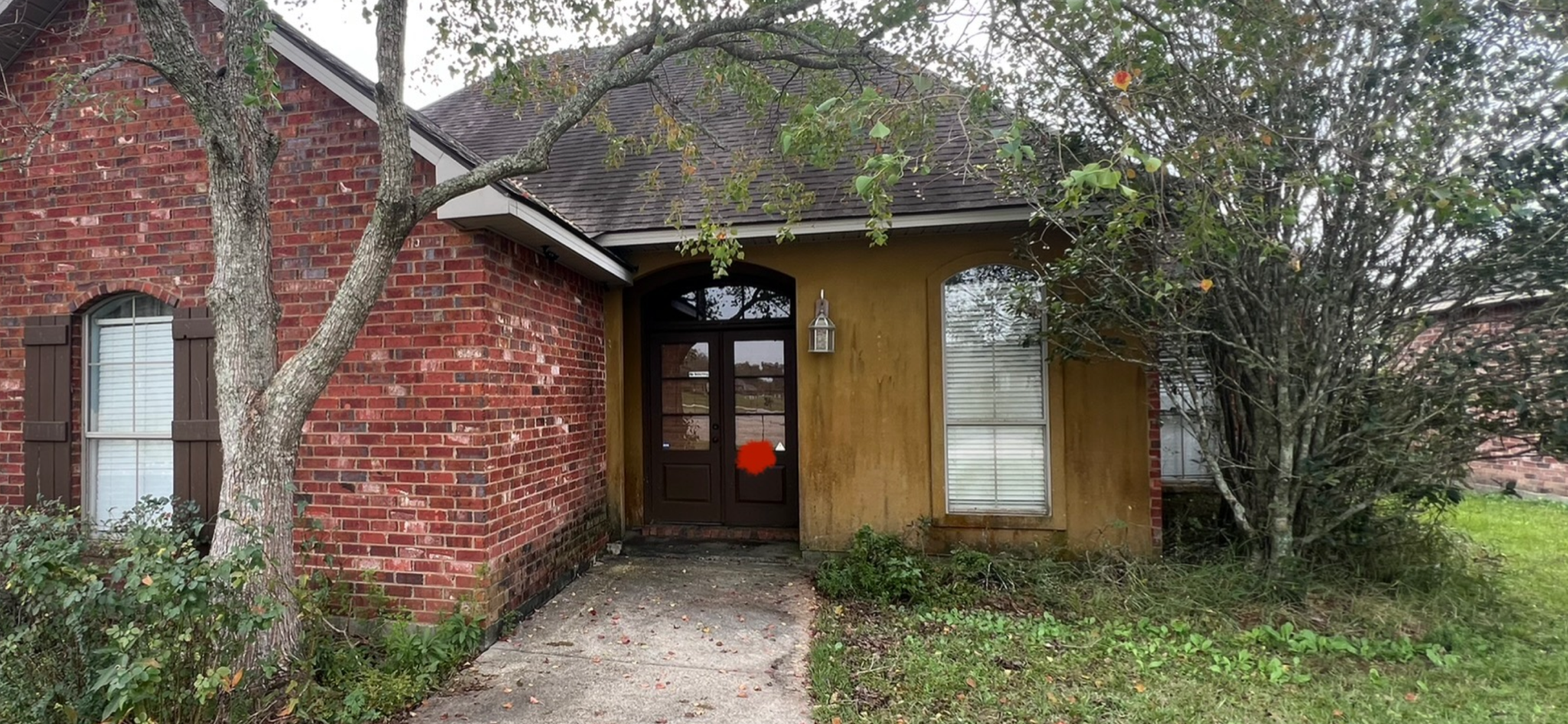 Transforming My Home: The Before and After of Painting and Landscaping