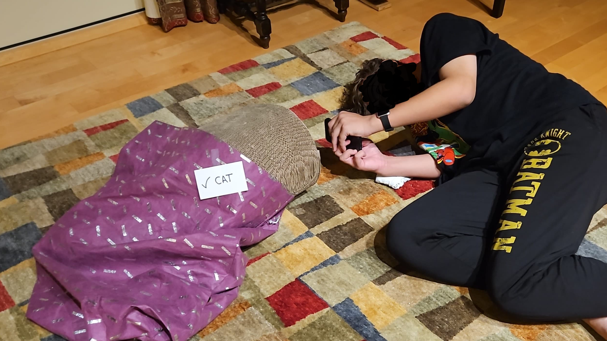 The Mysterious Adventures of Tunnel Cat