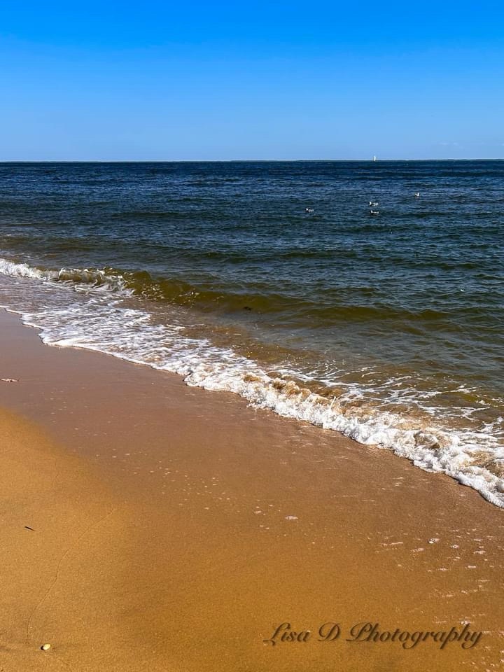 The Majestic Ocean: Nature's Endless Wonder