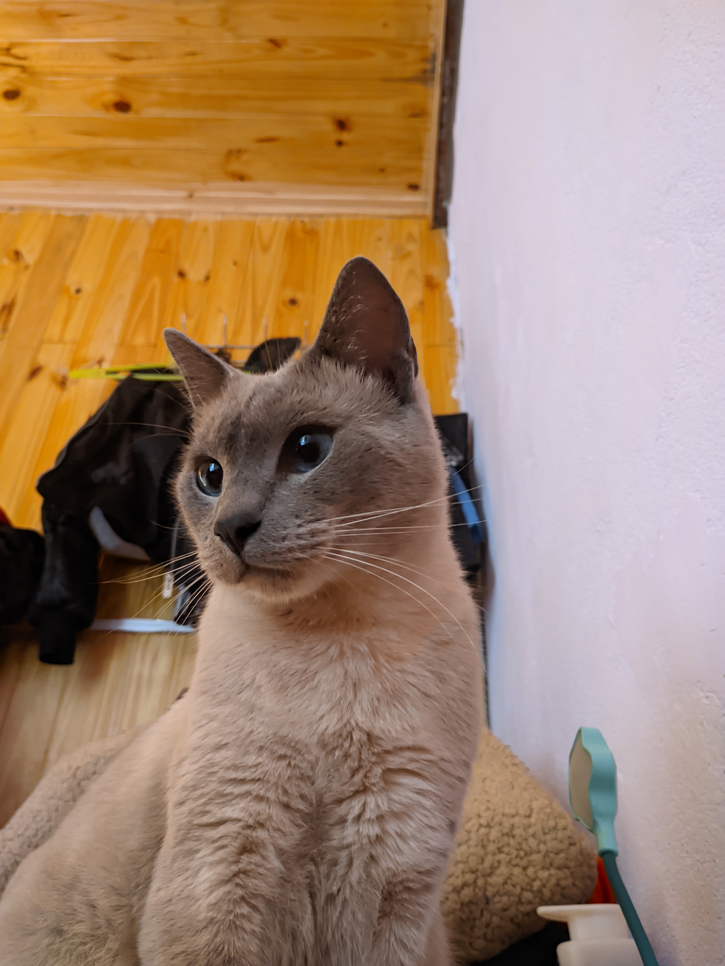 The Treasure of My Life: A Heartfelt Expression