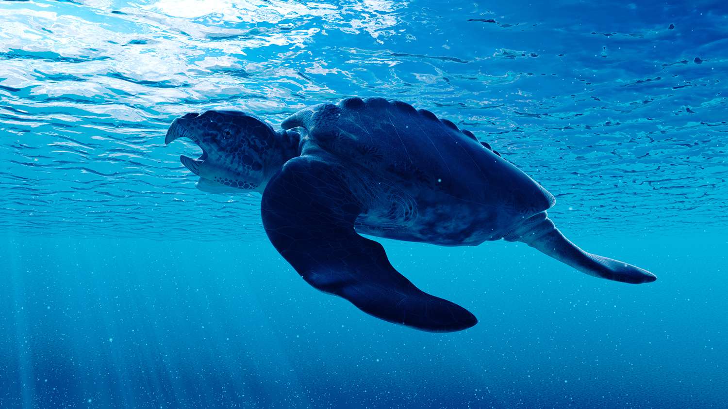 Meet Archelon: The Ancient Sea Turtle That Ruled the Oceans