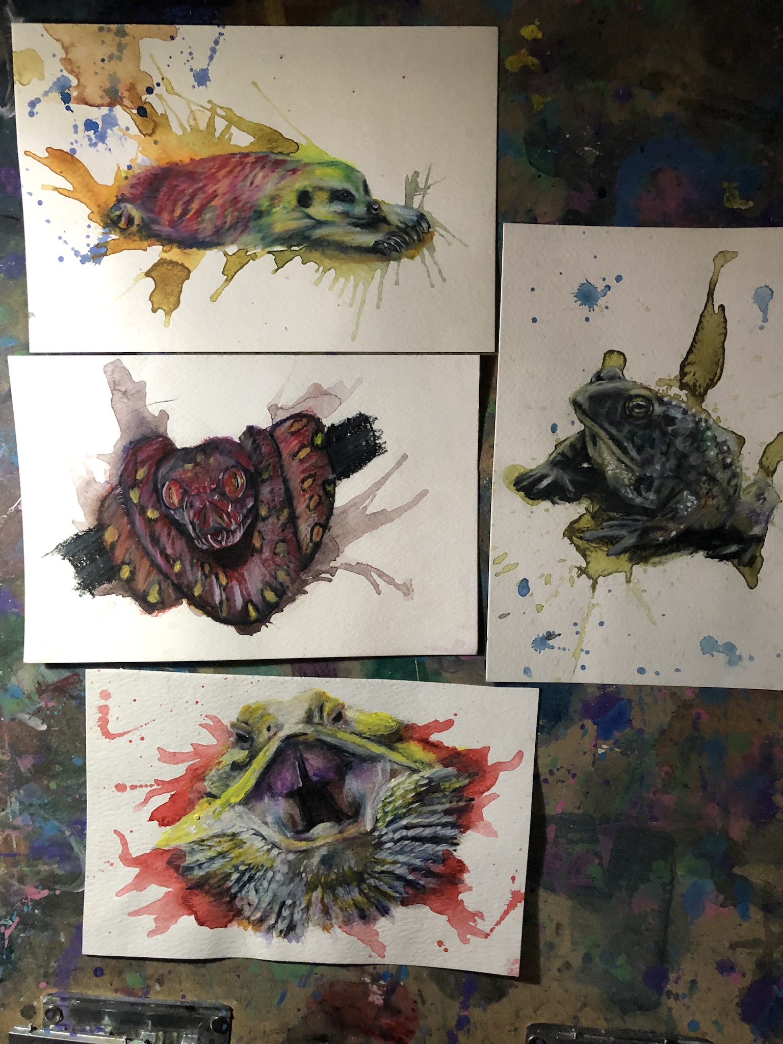 Creating Animal Art: My Latest Masterpiece