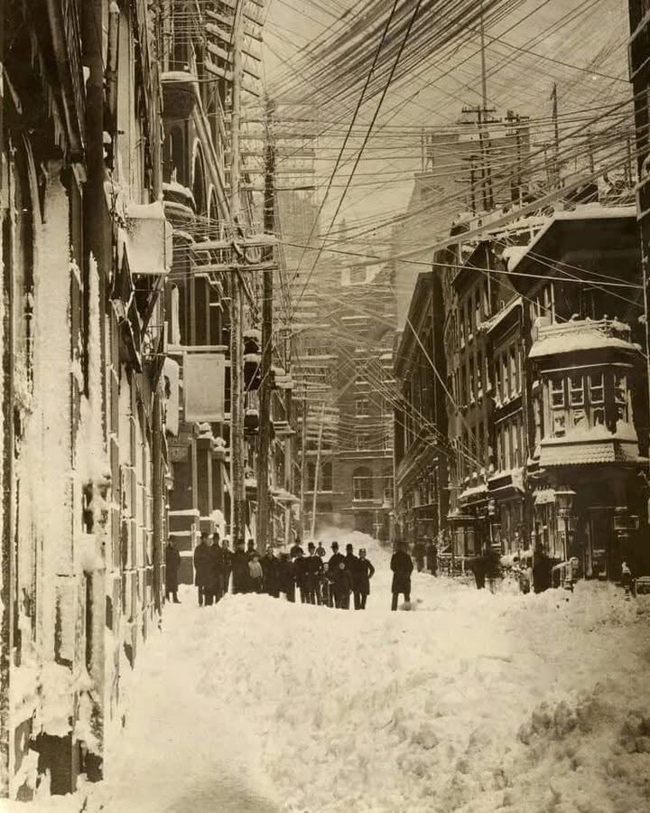 New York City Blanketed in Snow: A Glimpse from 1888
