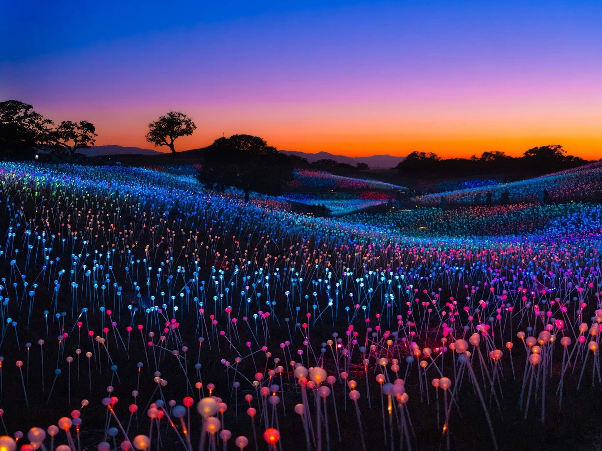 A captivating display of lights
