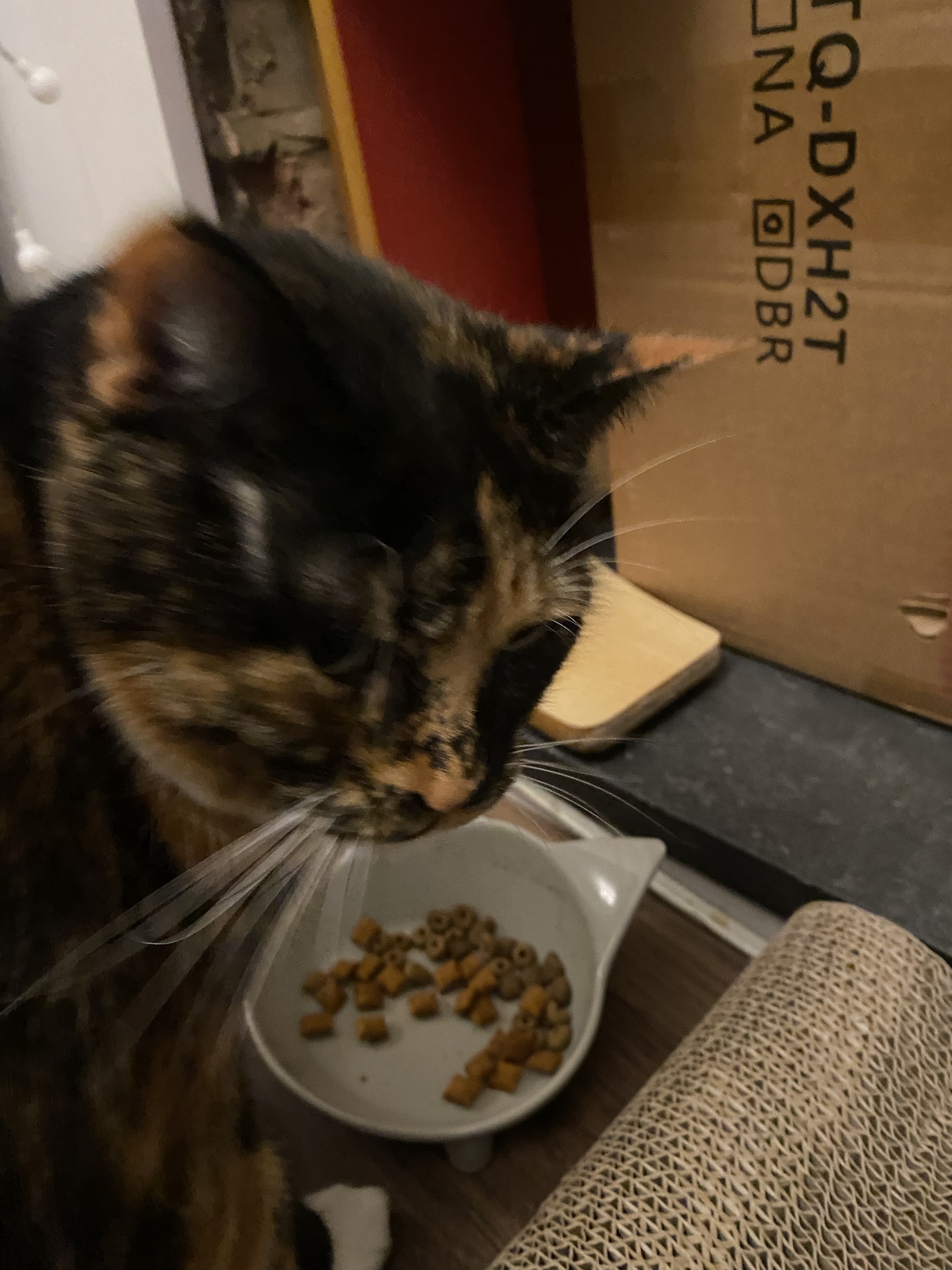 Crumble’s Daily Snapshot