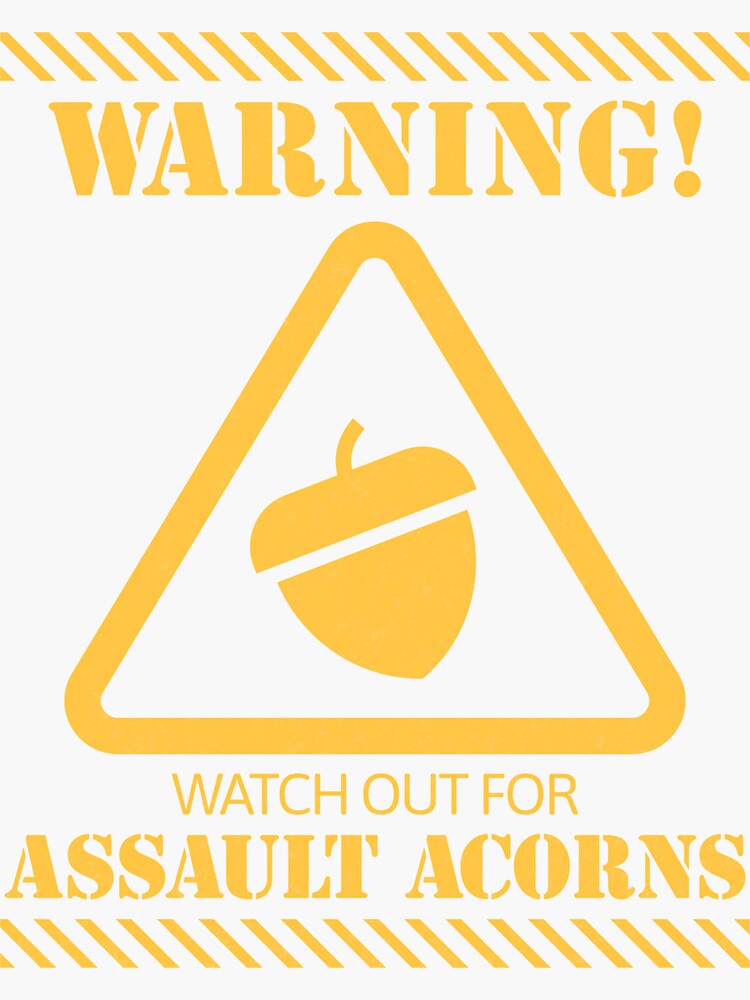 Living Life with Acorns: A Nutty Adventure!