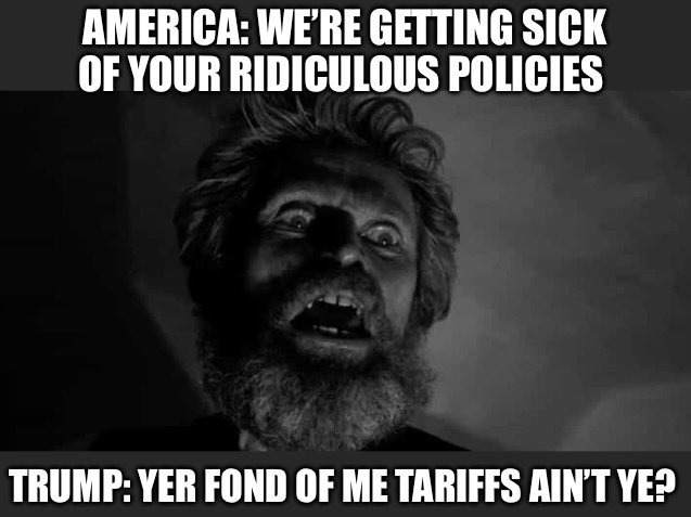 You Really Like My Tariffs, Don't You?