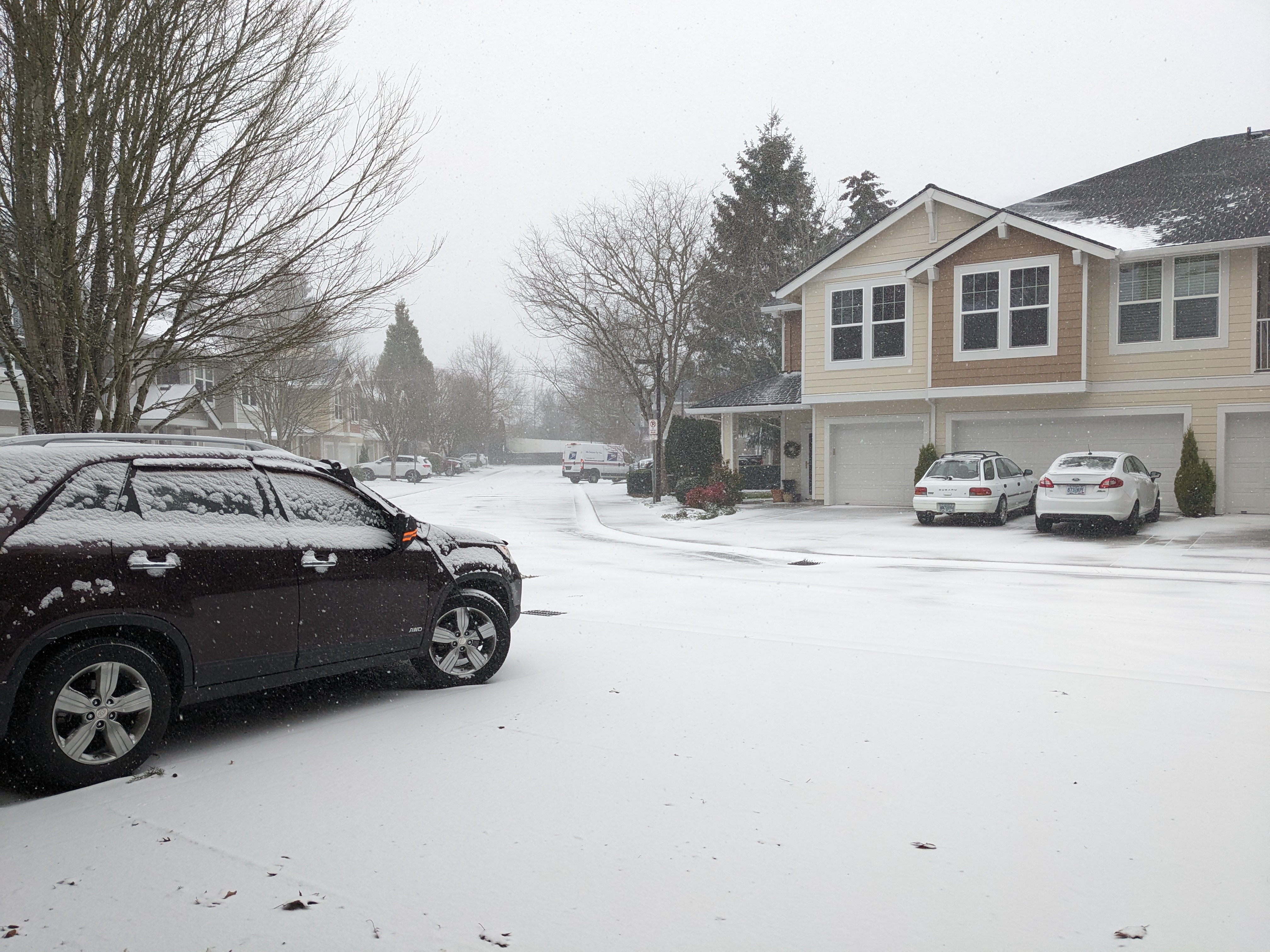 Snowy Portland, Oregon: A Glimpse into 2025's Winter Wonderland