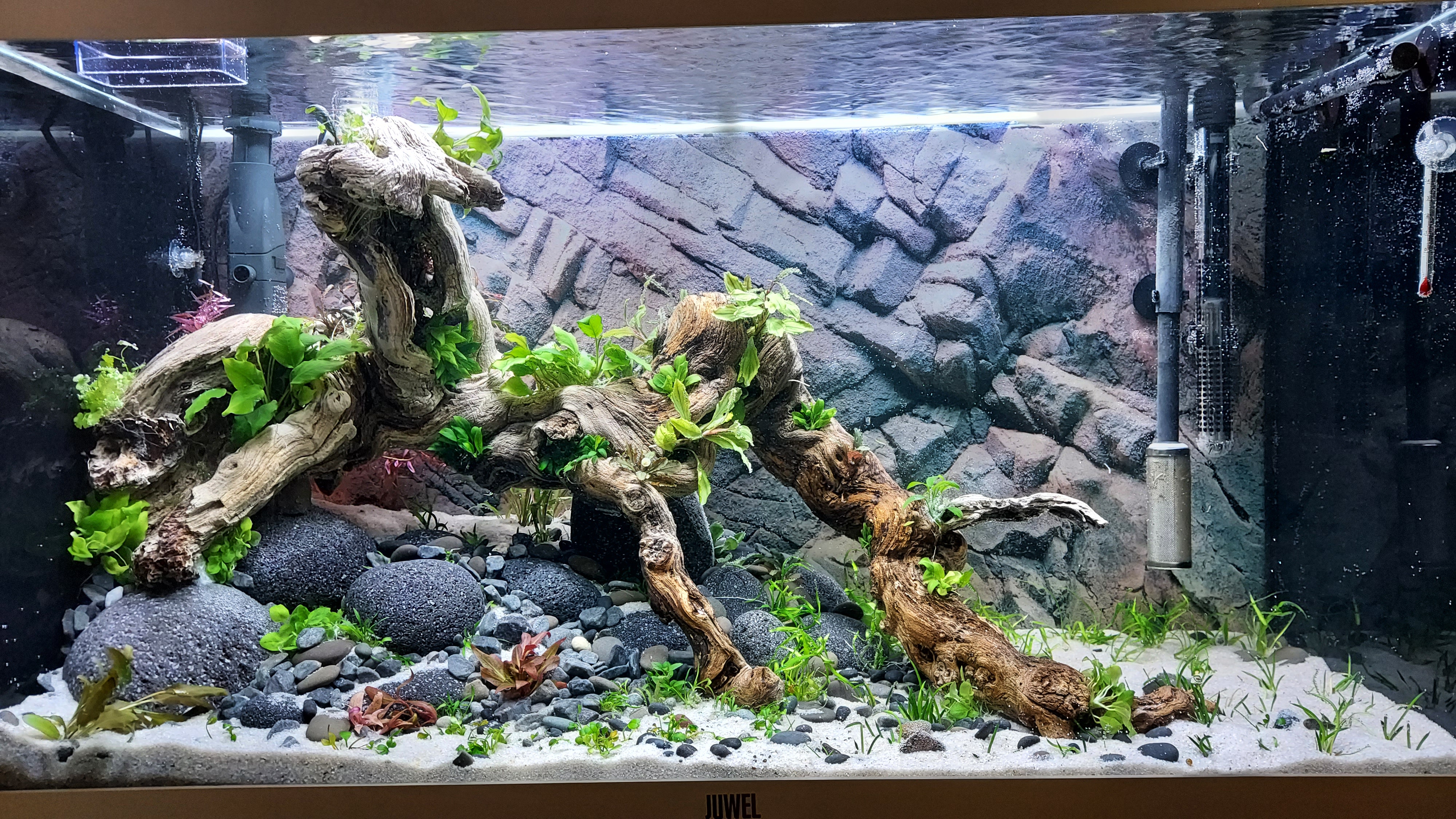 Transforming the landscape.