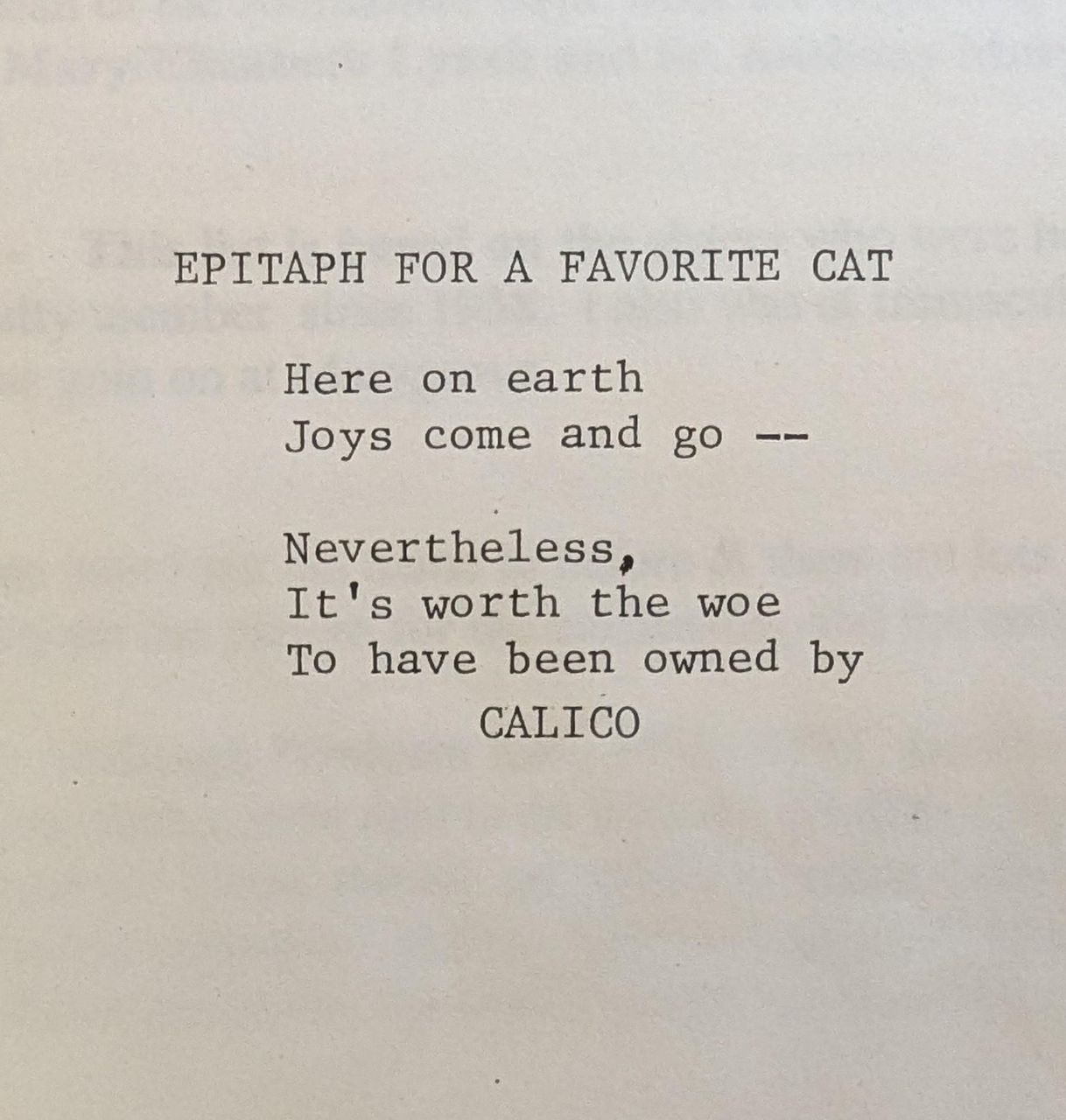 A Heartfelt Epitaph for My Beloved Cat