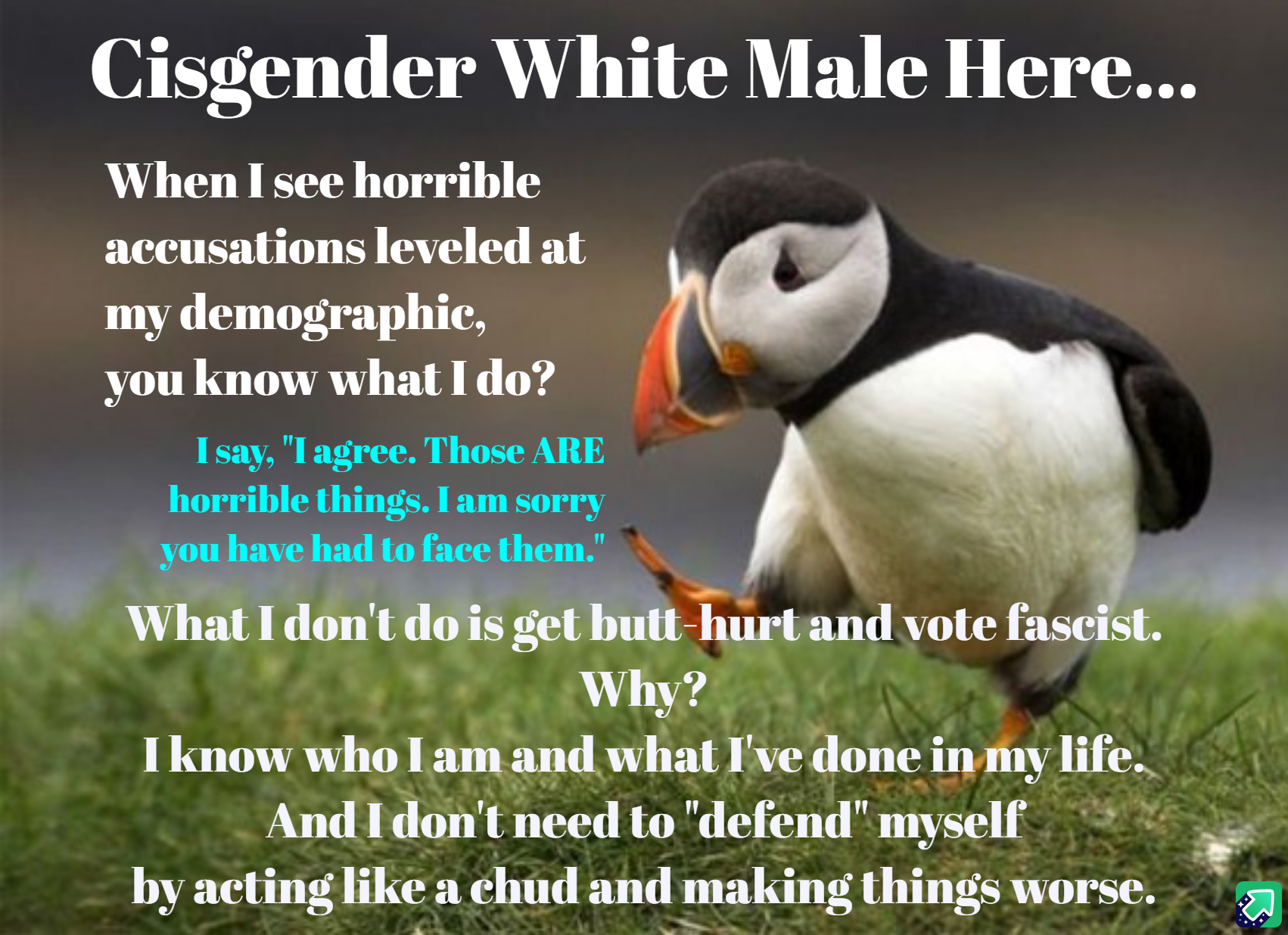 This Might Only Be Controversial for Those Who Resemble Me
