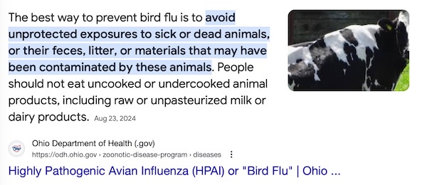 Essential Tips to Stay Safe from Bird Flu
