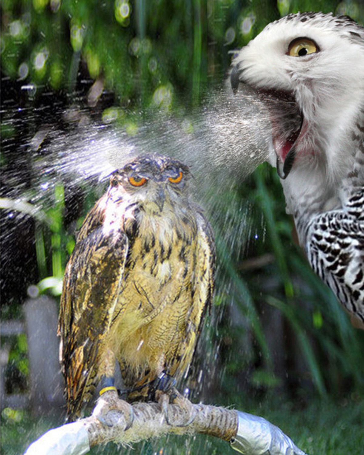 That Awkward Moment with the Coworker Who Spits When They Talk