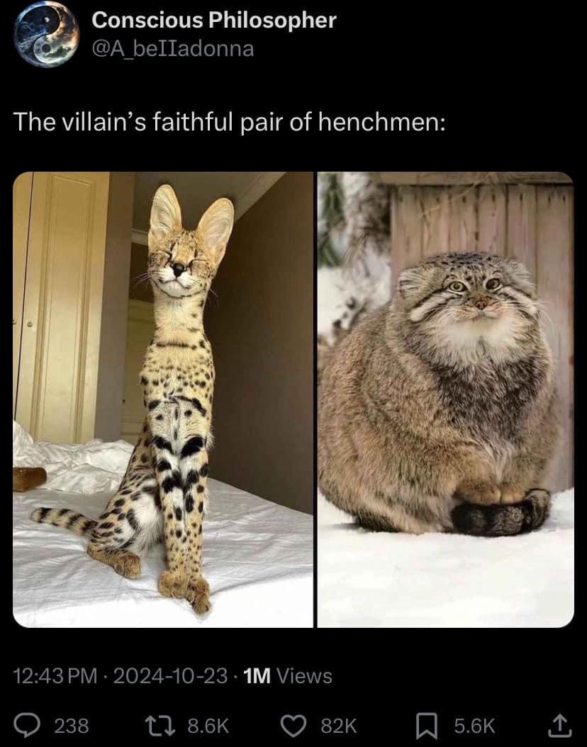 A Moderately Sized Dump of Stolen Memes for These Trying Times: Edition 1578