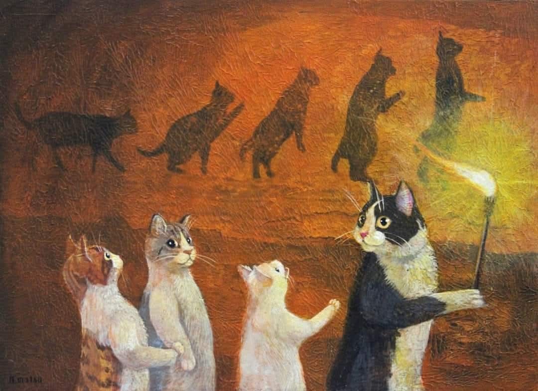 The Fascinating Evolution of Cats by Ryohei Matsumoto
