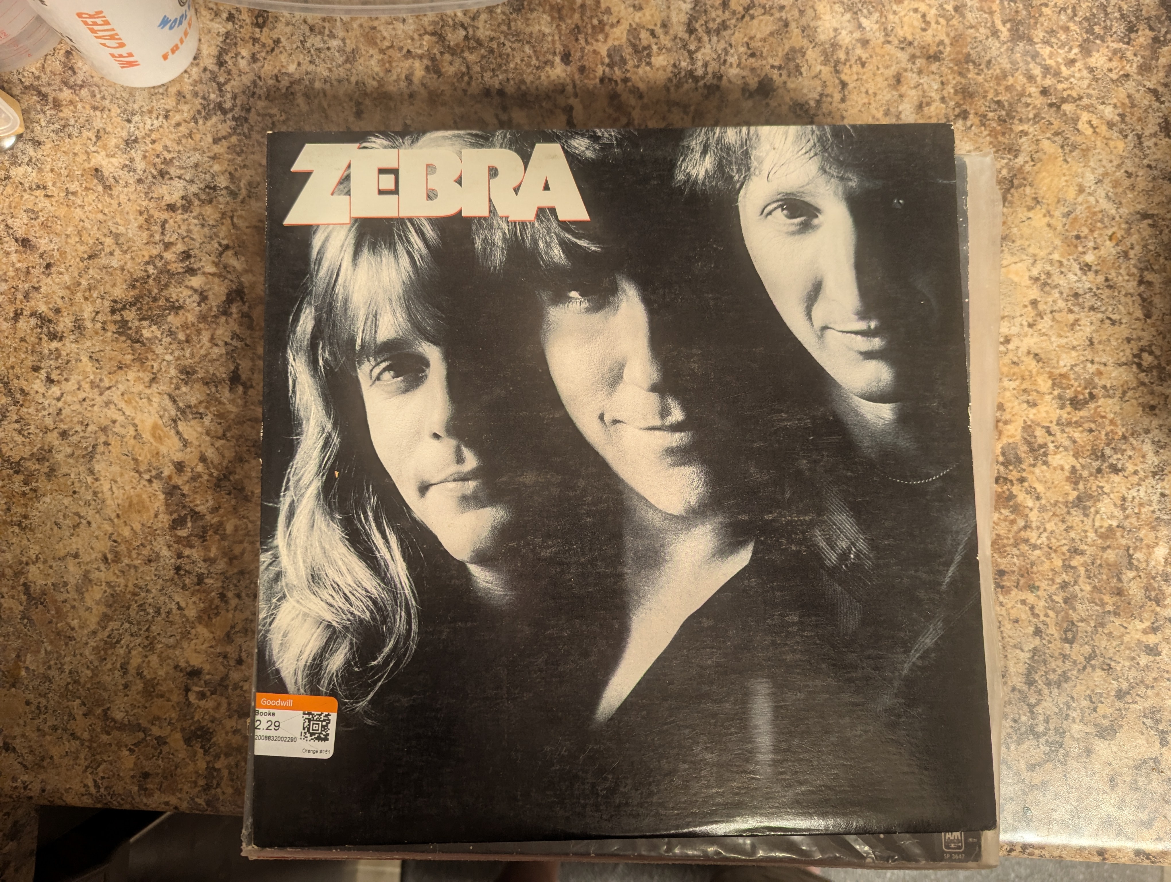 I scored big at Goodwill yesterday!