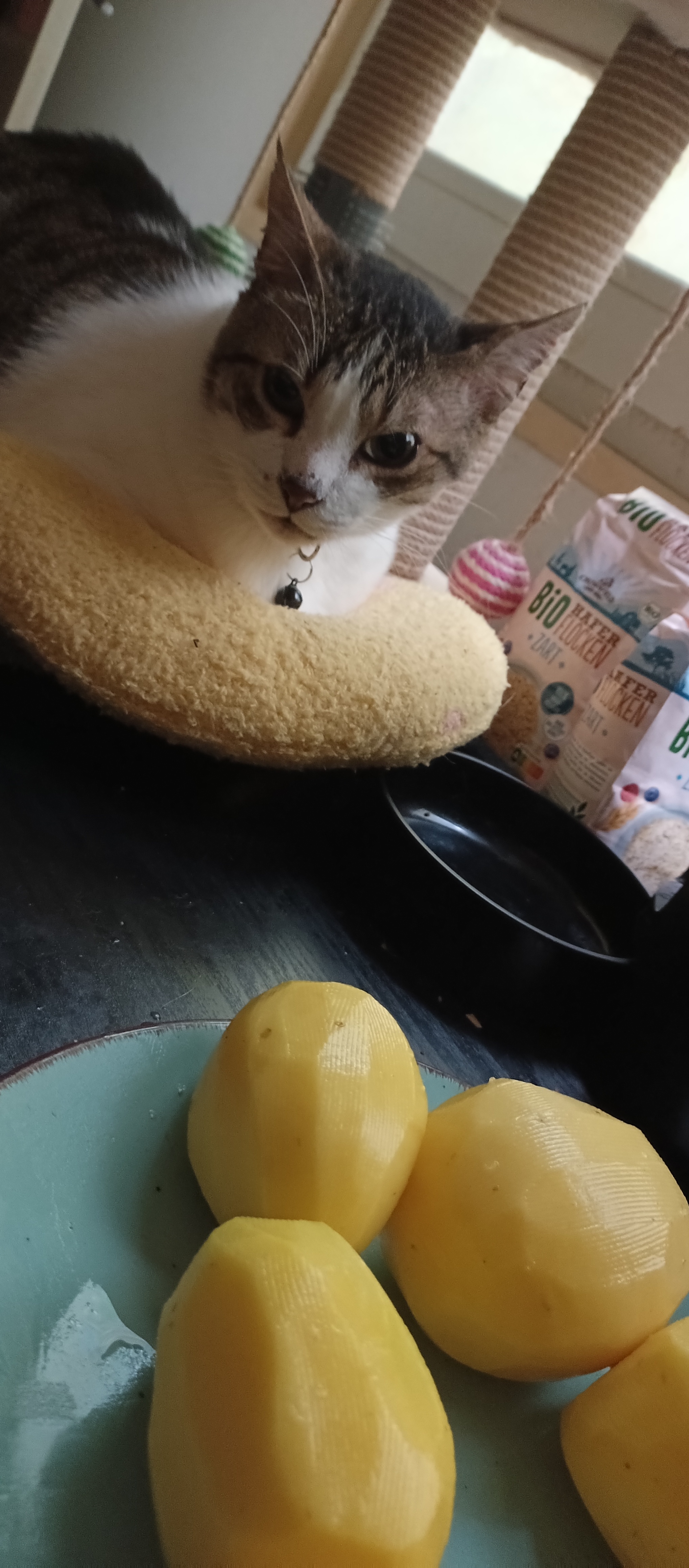 Chef Paul Analyzing My Potato Skills Like a True Culinary Critic