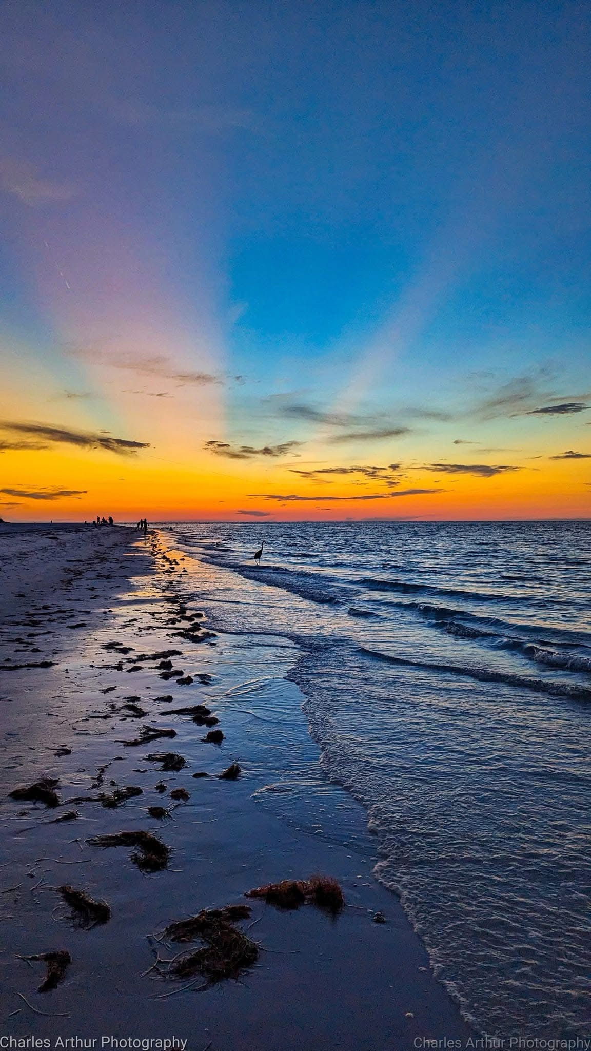 A Beautiful Sunrise to Brighten Your Day