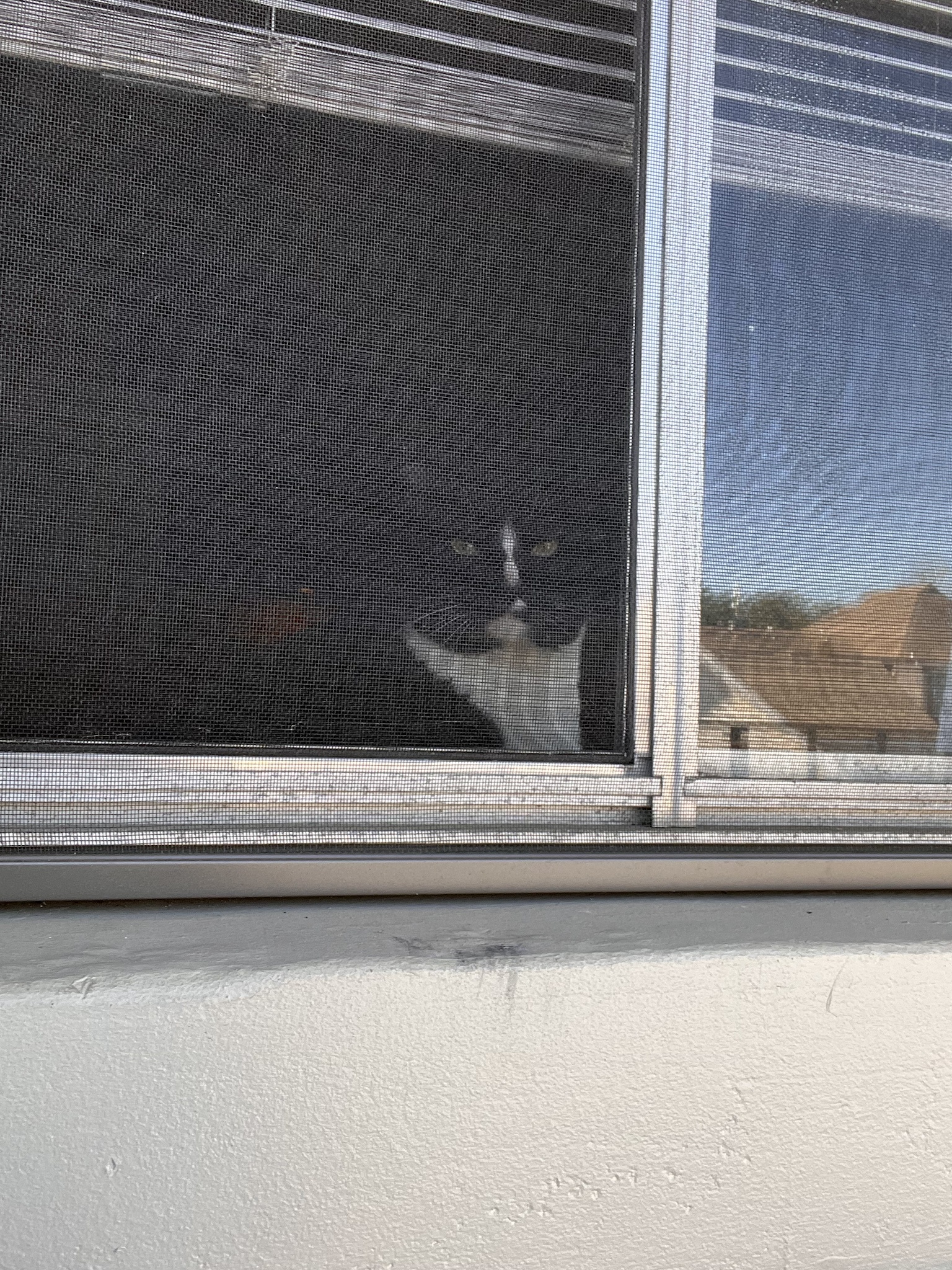 When Mom Won't Let You Outside and You Have to Show Her Just How Upset You Are