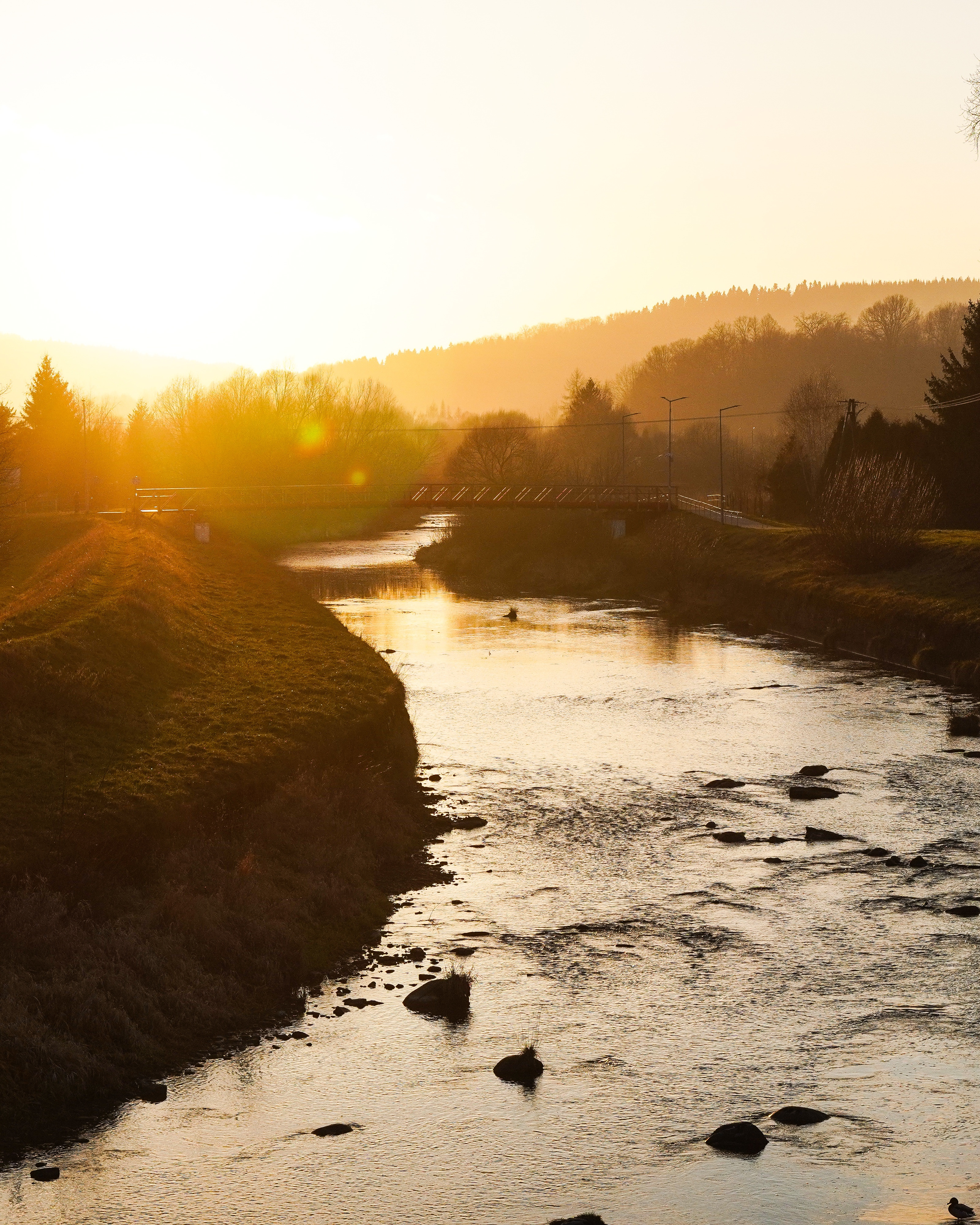 Golden Hour by the Local River