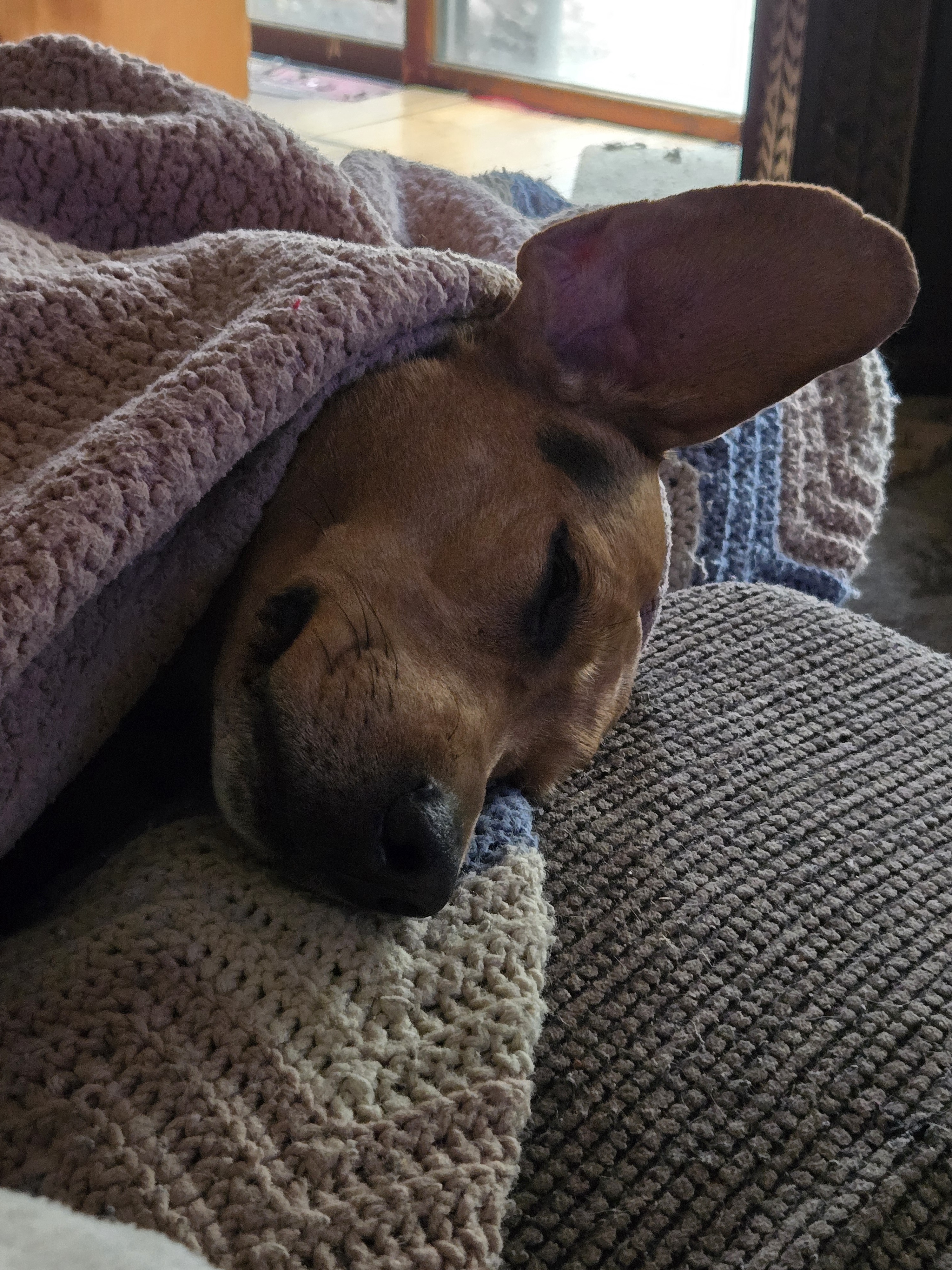Check Out My Post!