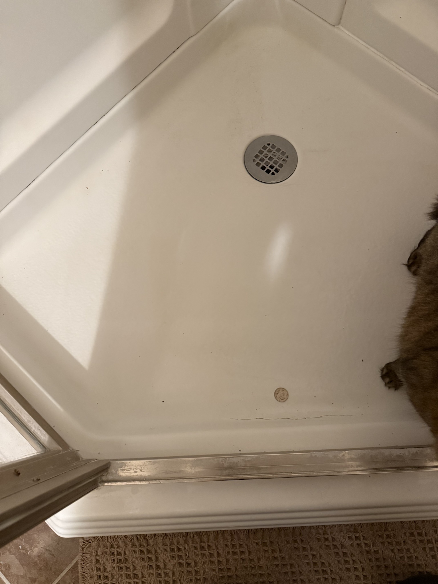 Crack on the Shower Floor: A Mystery