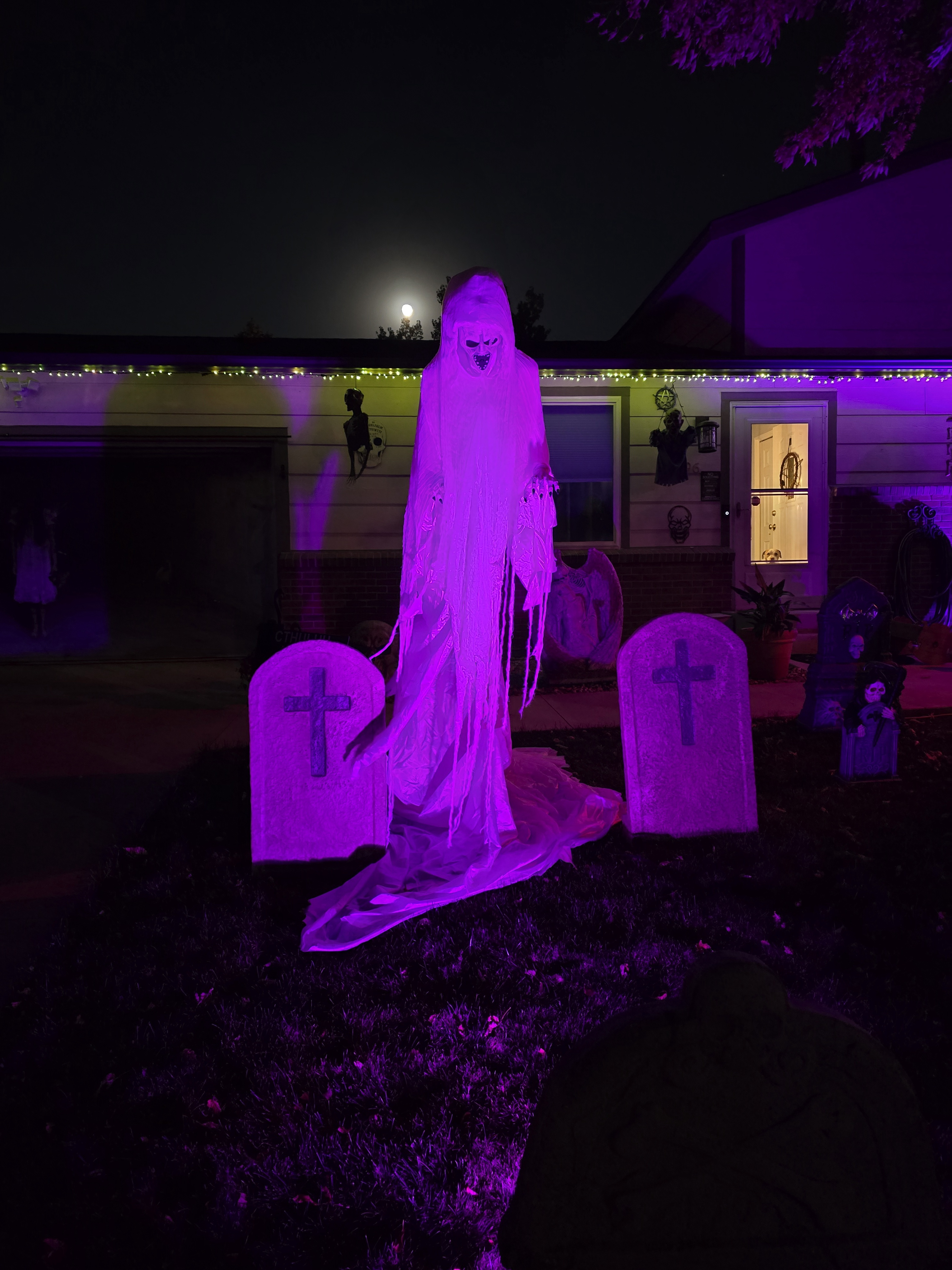 Meet Lil' Spook: The Cutest Little Ghost!