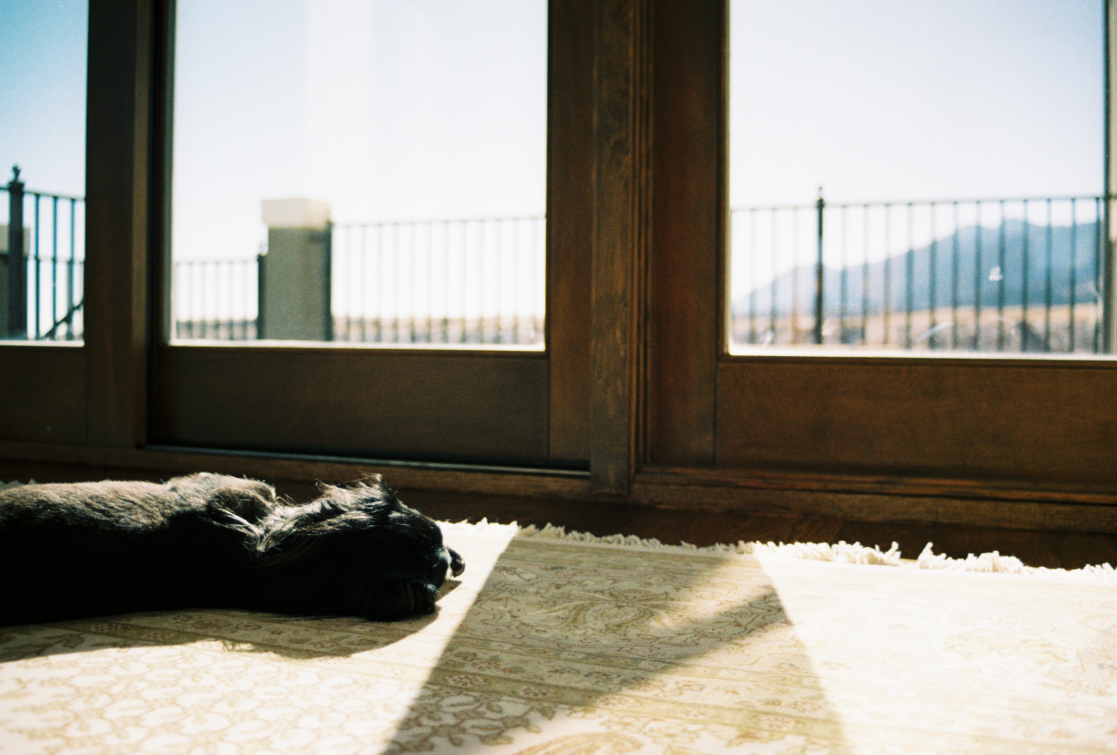 Exploring the World of Film Photography