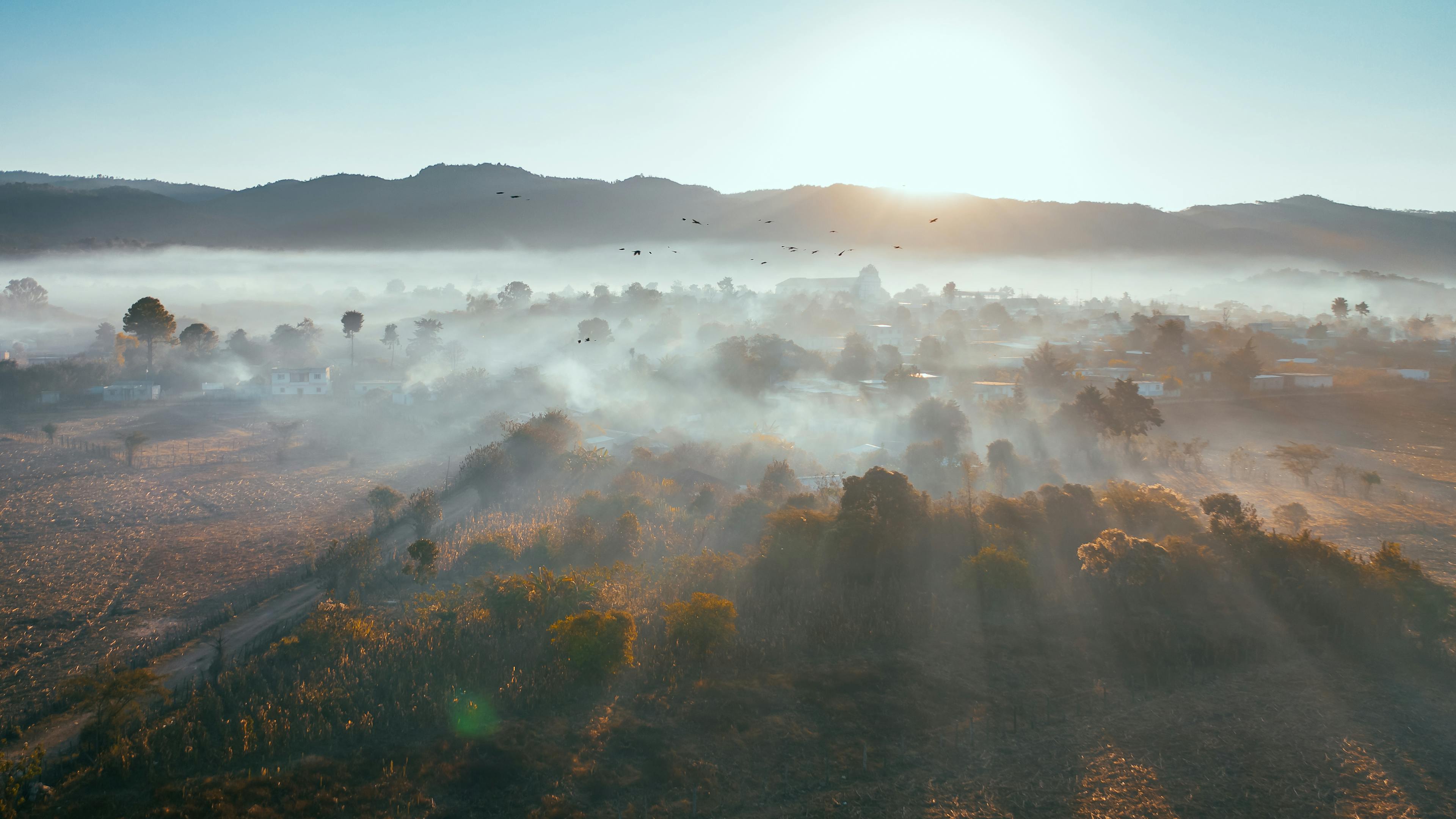 Breathtaking Sunrise Over Foggy Valley