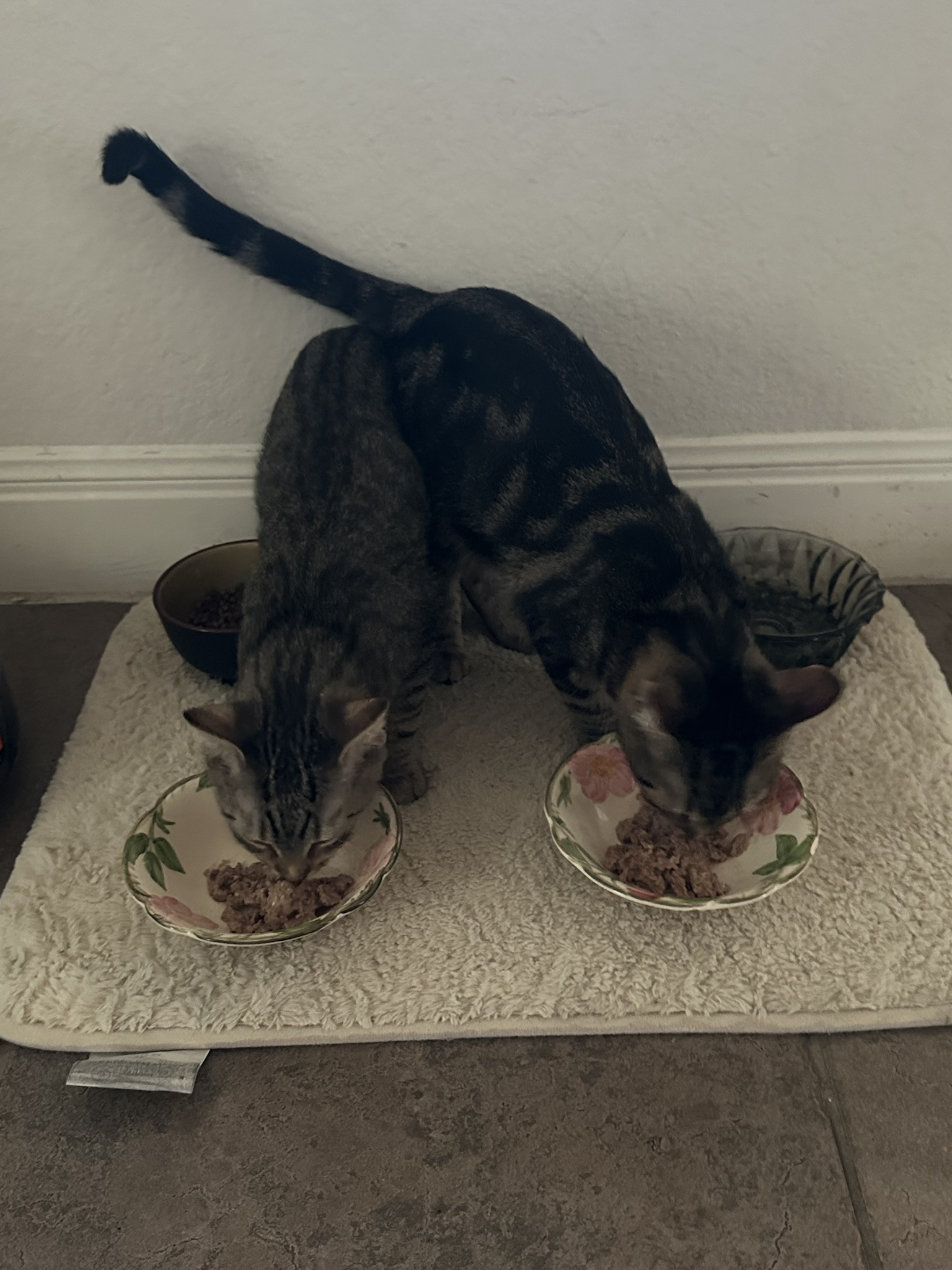 Breakfast for two: A touching moment!